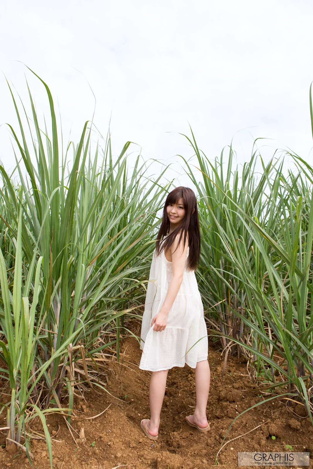 葉山めい/叶山芽衣 [Graphis] First Gravure 初脱ぎ娘 写真集 - 爱照片