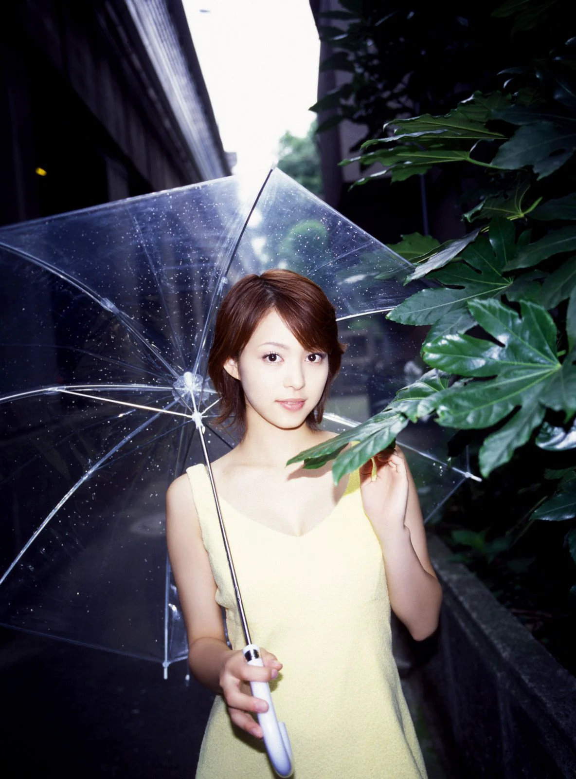 [NS Eyes] SF-No.280 Mayuko Iwasa 岩佐真悠子 写真集 - 爱照片