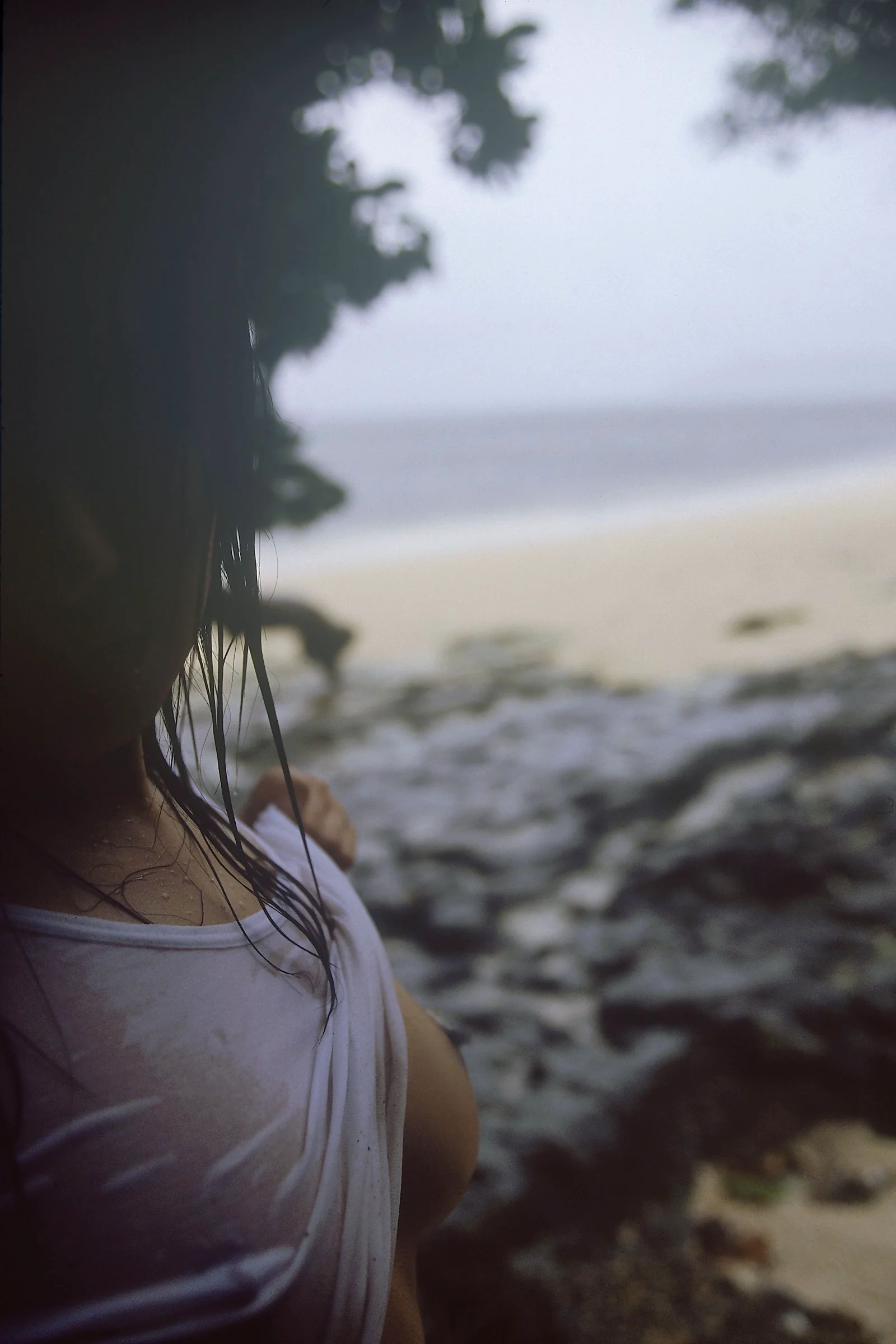 [NS Eyes] SF-No.529 Sora Aoi 蒼井そら/苍老师 写真集 - 爱照片