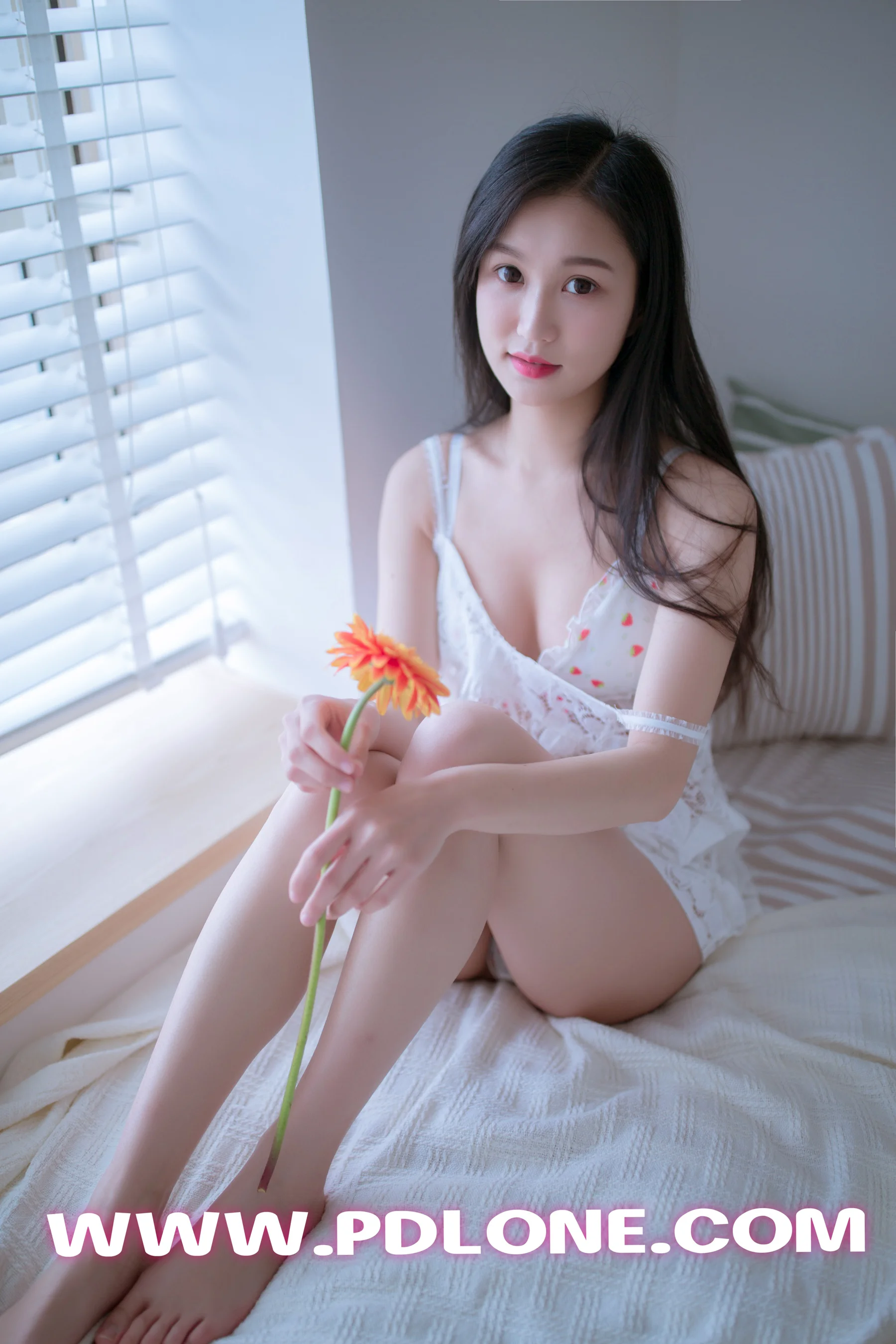 [PDL潘多拉] No.404 - 爱照片