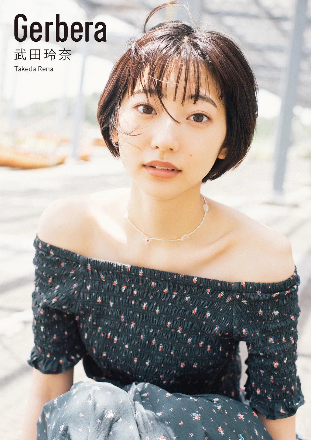 Rena Takeda 武田玲奈写真集 Gerbera - 爱照片