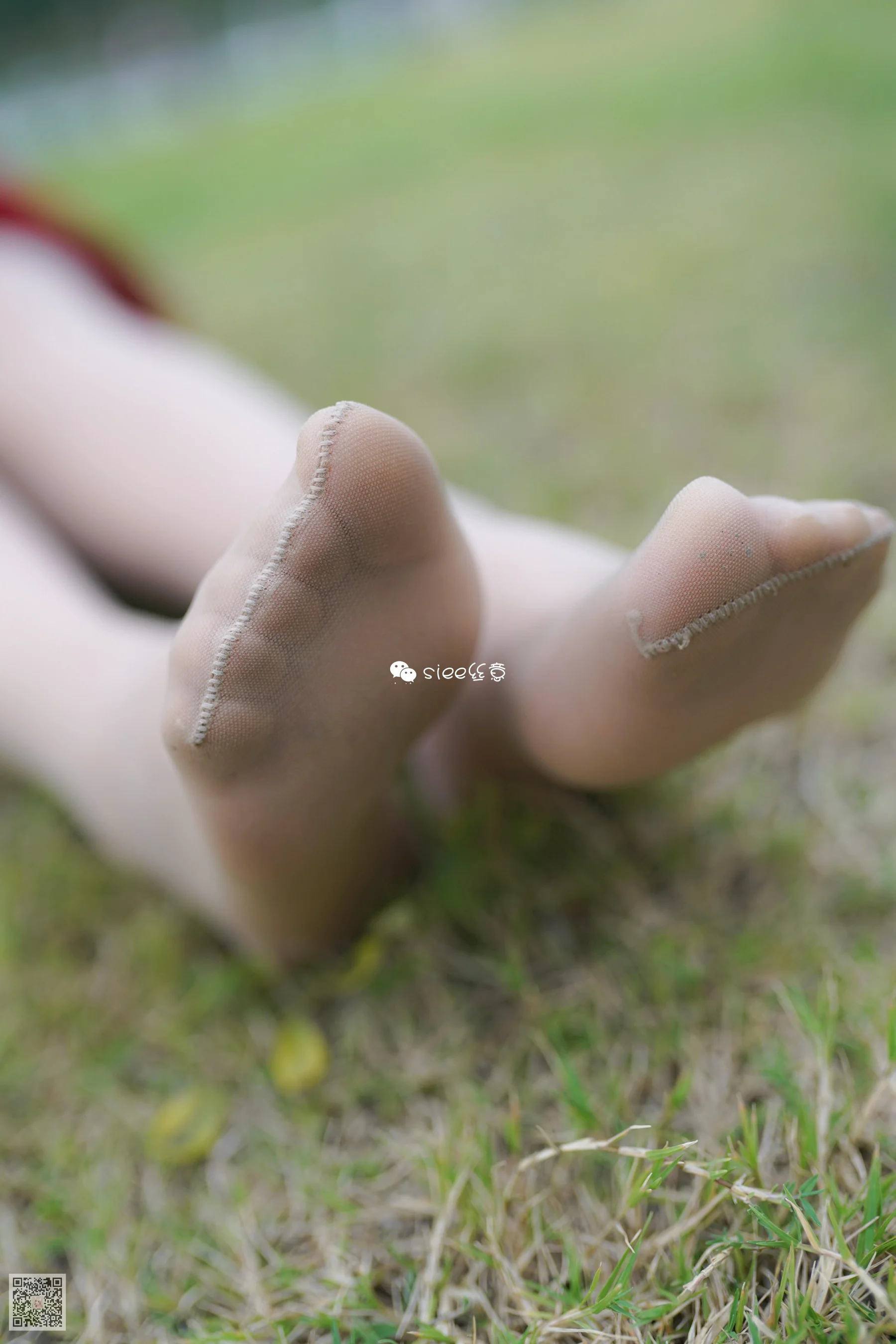 [SIEE丝意] No.191 晴儿 – 草地薄絲 - 爱照片