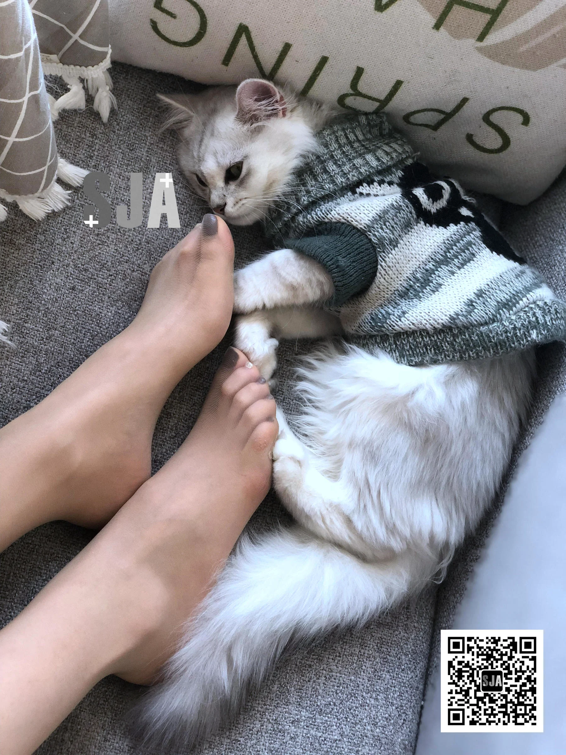 [佳爷SJA] Vol.013 佳爷 闺蜜视角《喵》 写真套图 - 爱照片
