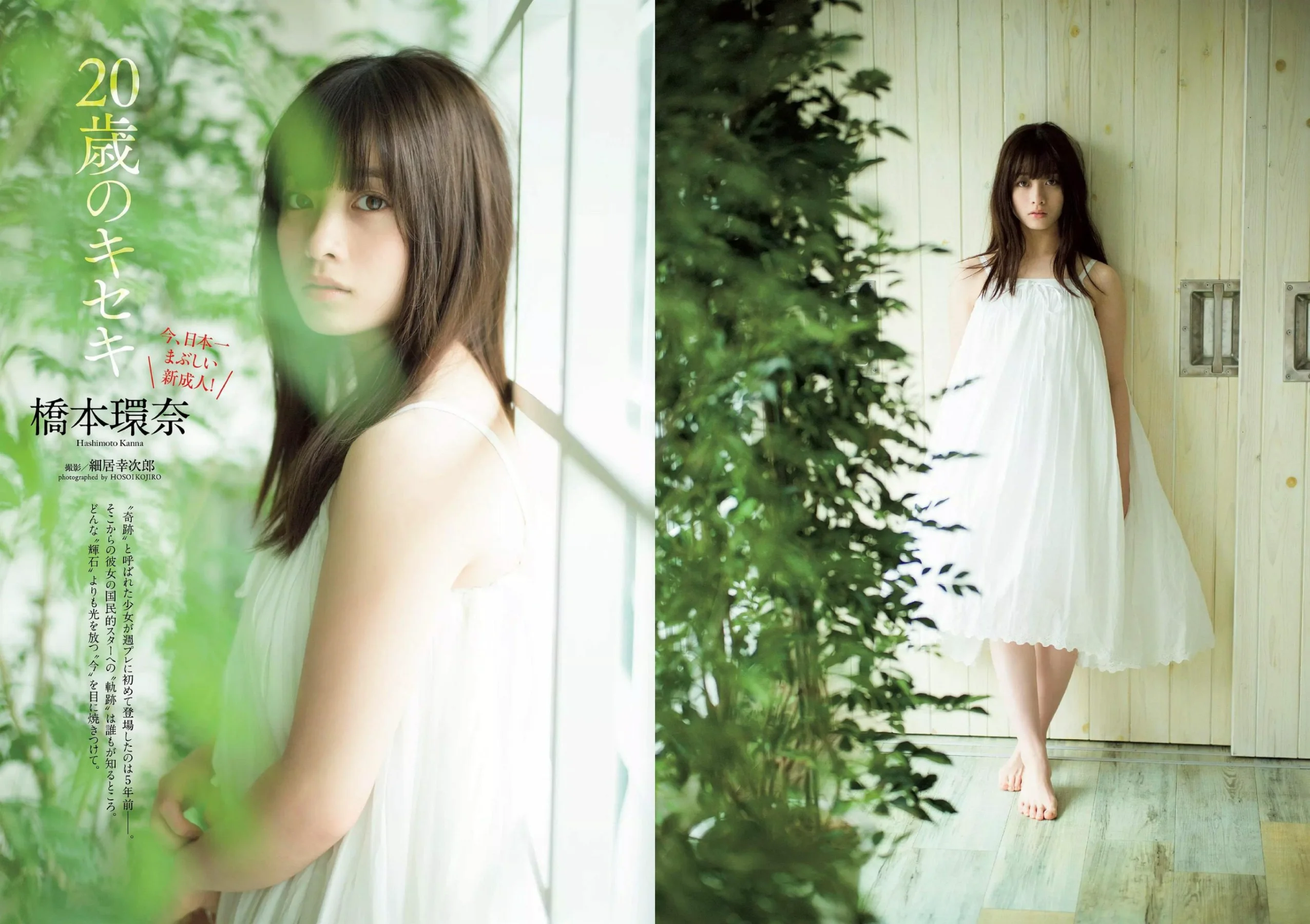 桥本环奈 今田美樱 あの 上村日菜乃 青山光『週刊プレイボーイ』Weekly Playboy 2019年07号 - 爱照片