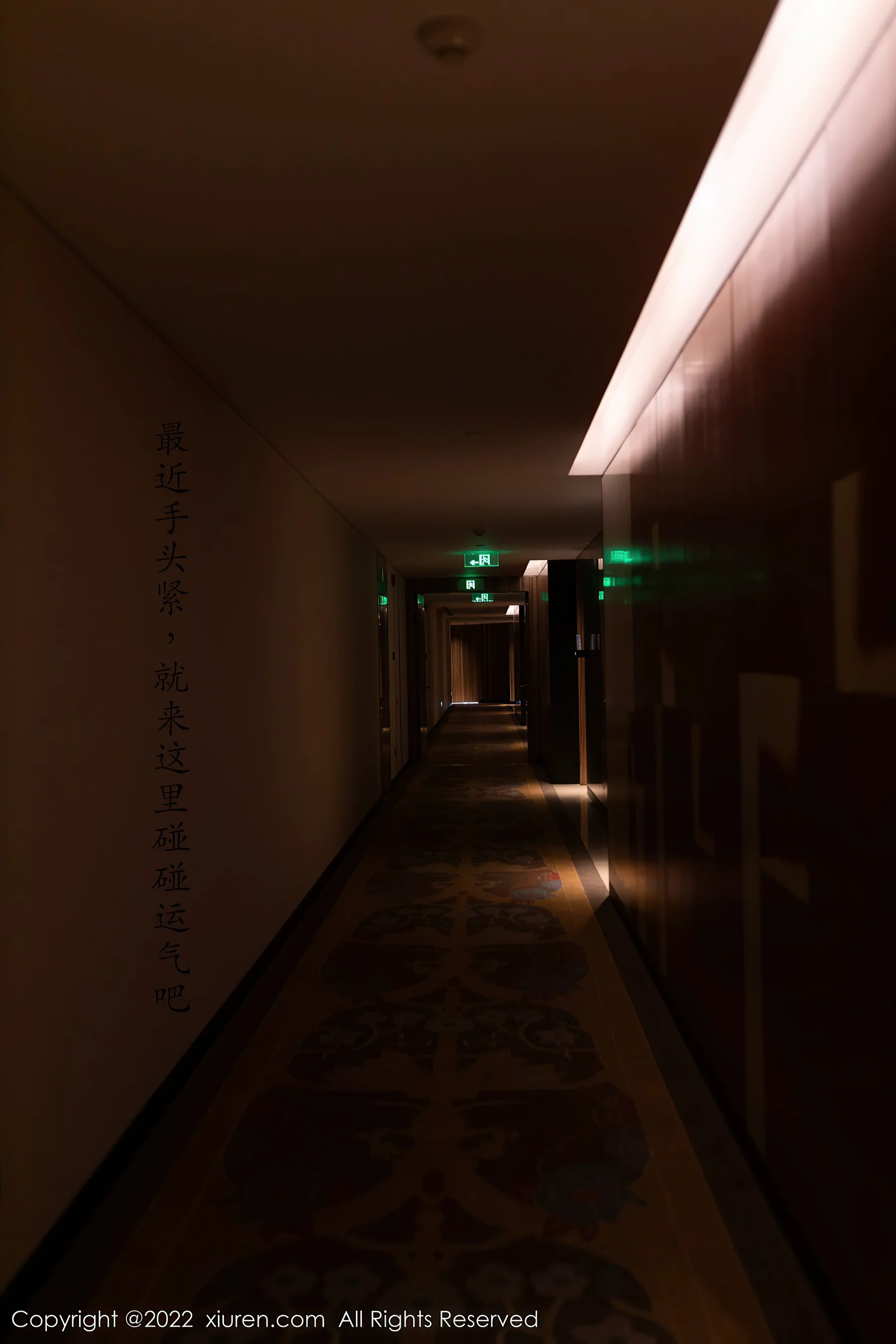 [XiuRen秀人网] No.4652 利世 丝袜美腿御姐私房写真 - 爱照片