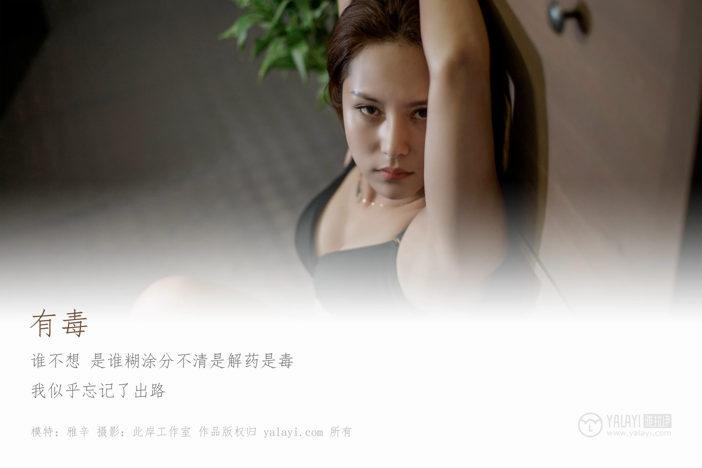 [YALAYI雅拉伊] NO.287 有毒 雅辛 - 爱照片