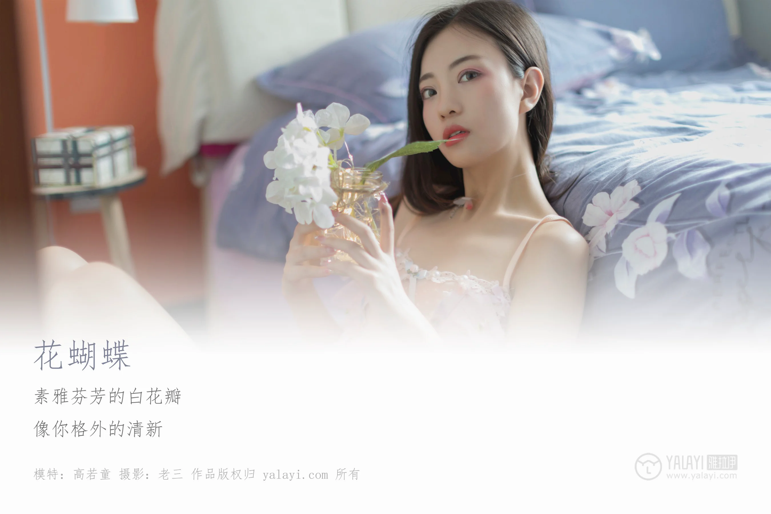 [YALAYI雅拉伊] NO.311 花蝴蝶 高若童 - 爱照片