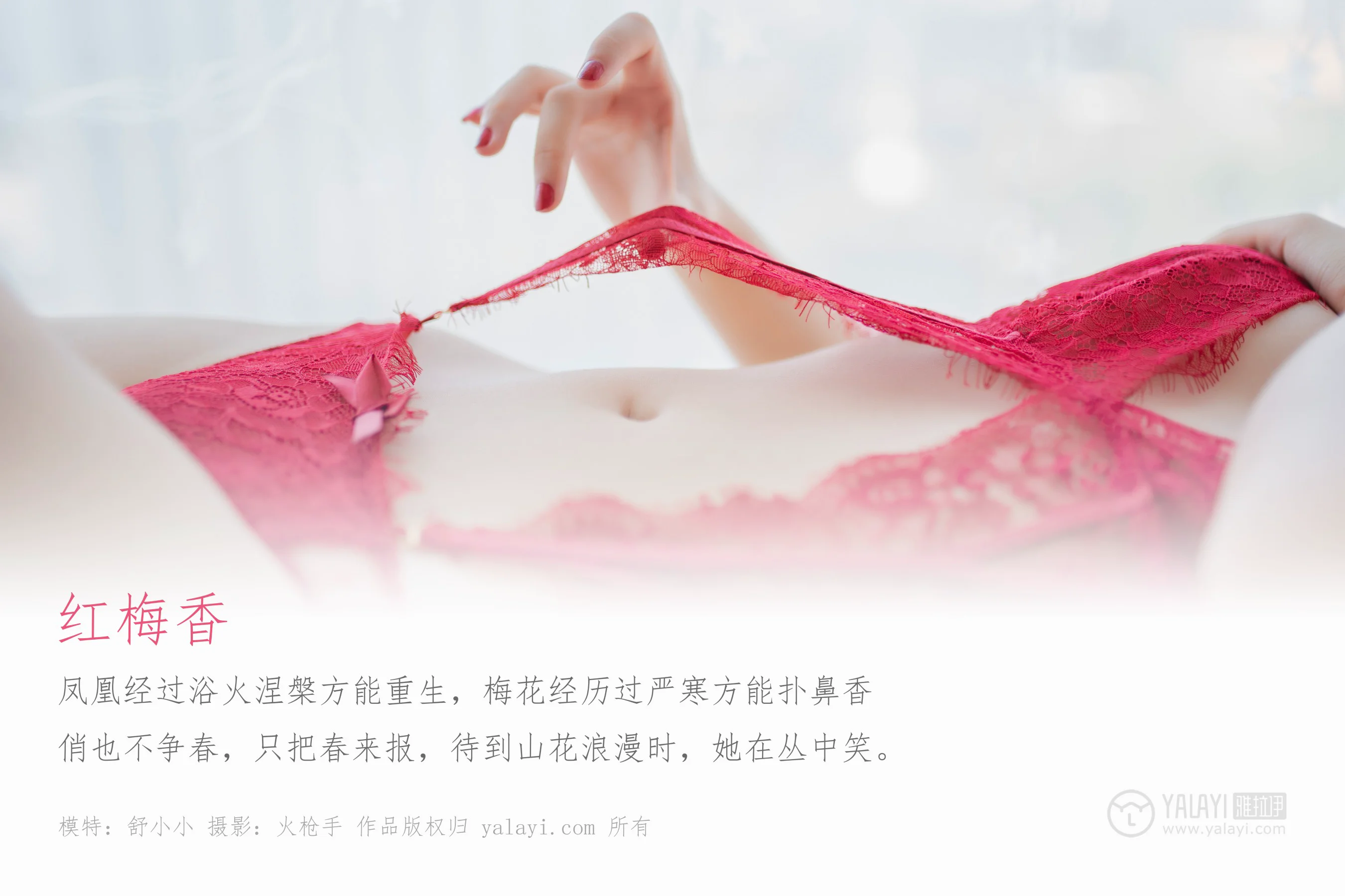 [YALAYI雅拉伊] NO.319 红梅香 舒小小 - 爱照片