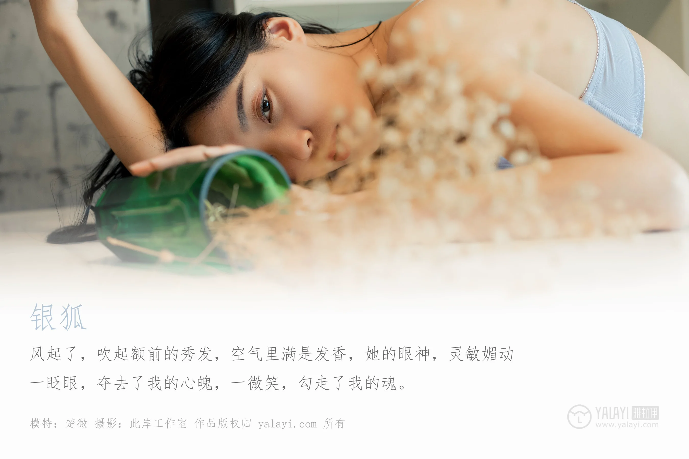 [YALAYI雅拉伊] NO.324 银狐 楚薇 - 爱照片