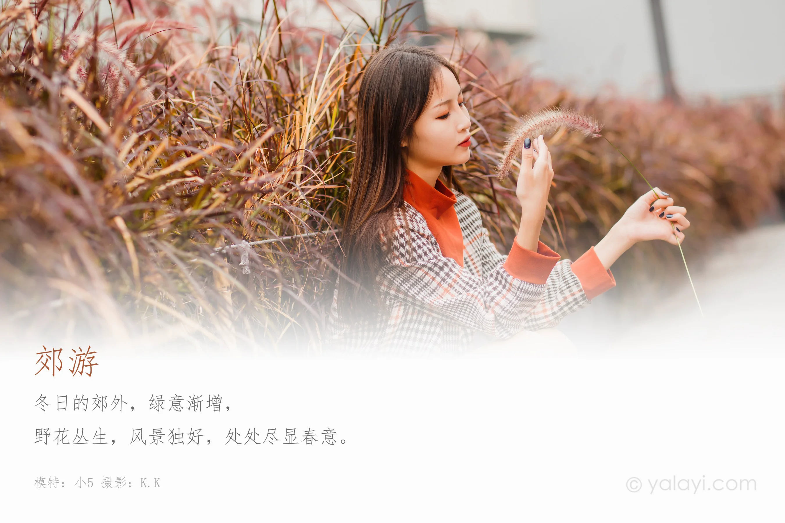 [YALAYI雅拉伊] NO.543 郊游 小五 - 爱照片