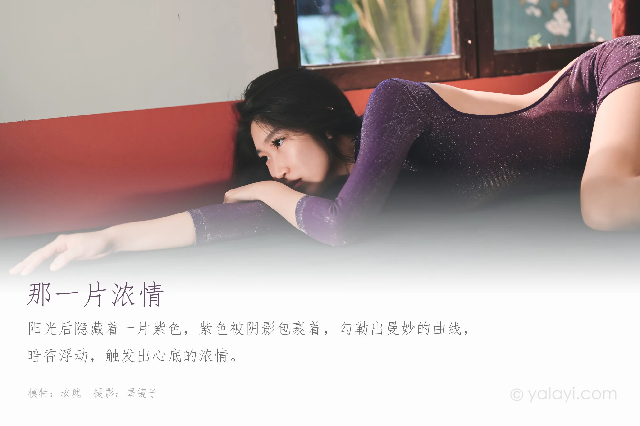 [YALAYI雅拉伊] NO.583 那一片浓情 玫瑰 - 爱照片