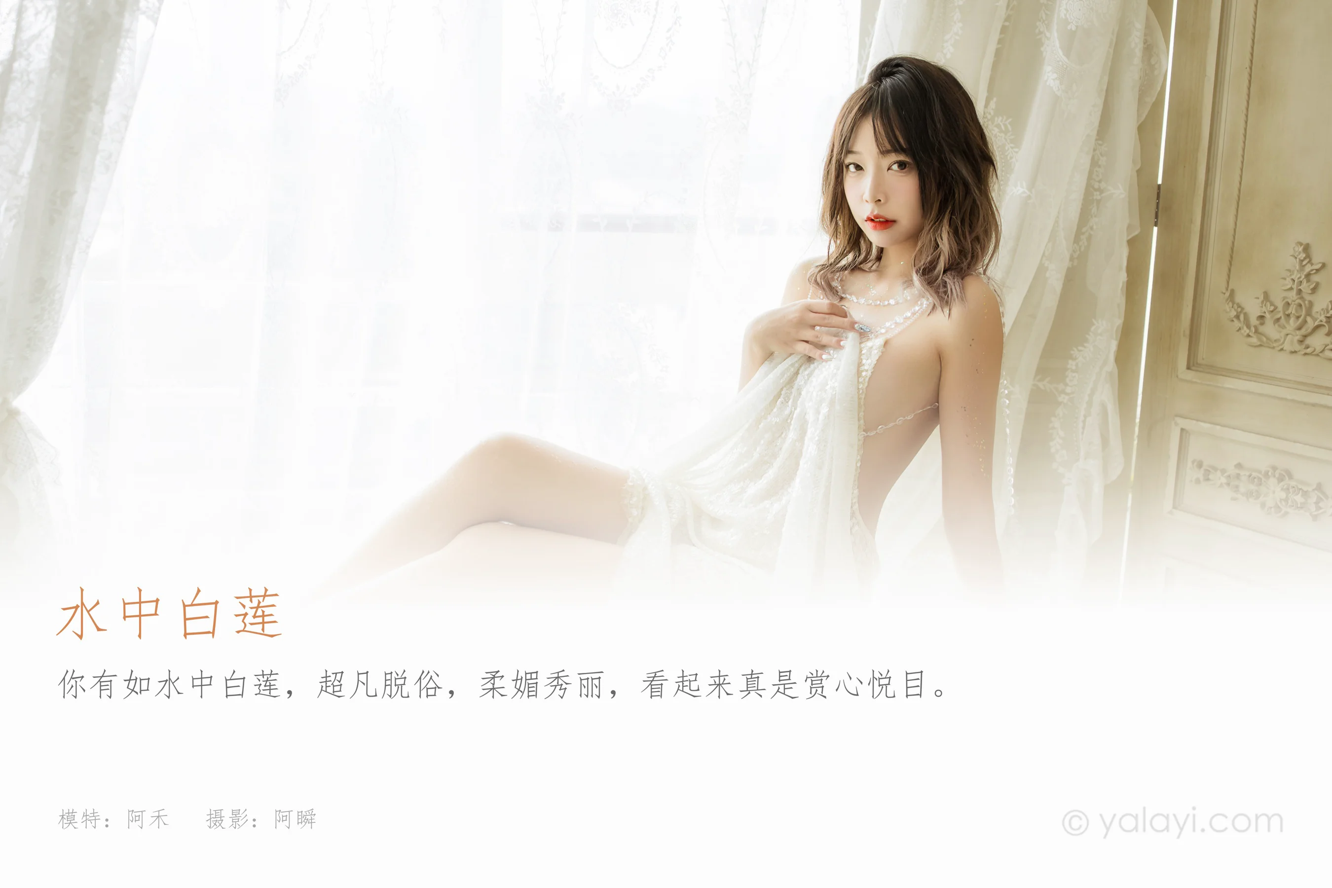 [YALAYI雅拉伊] NO.868 阿禾 水中白莲 - 爱照片
