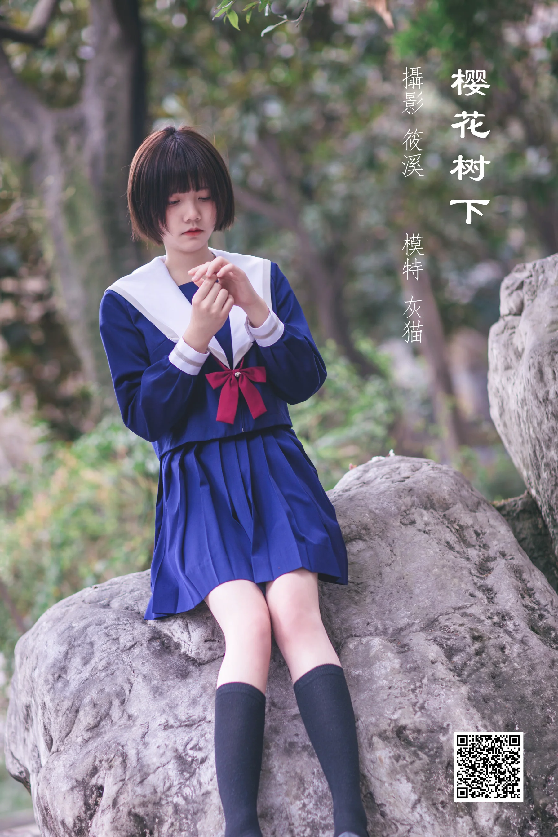[艺图语] 2022.04.15 樱花树下 灰猫 - 爱照片