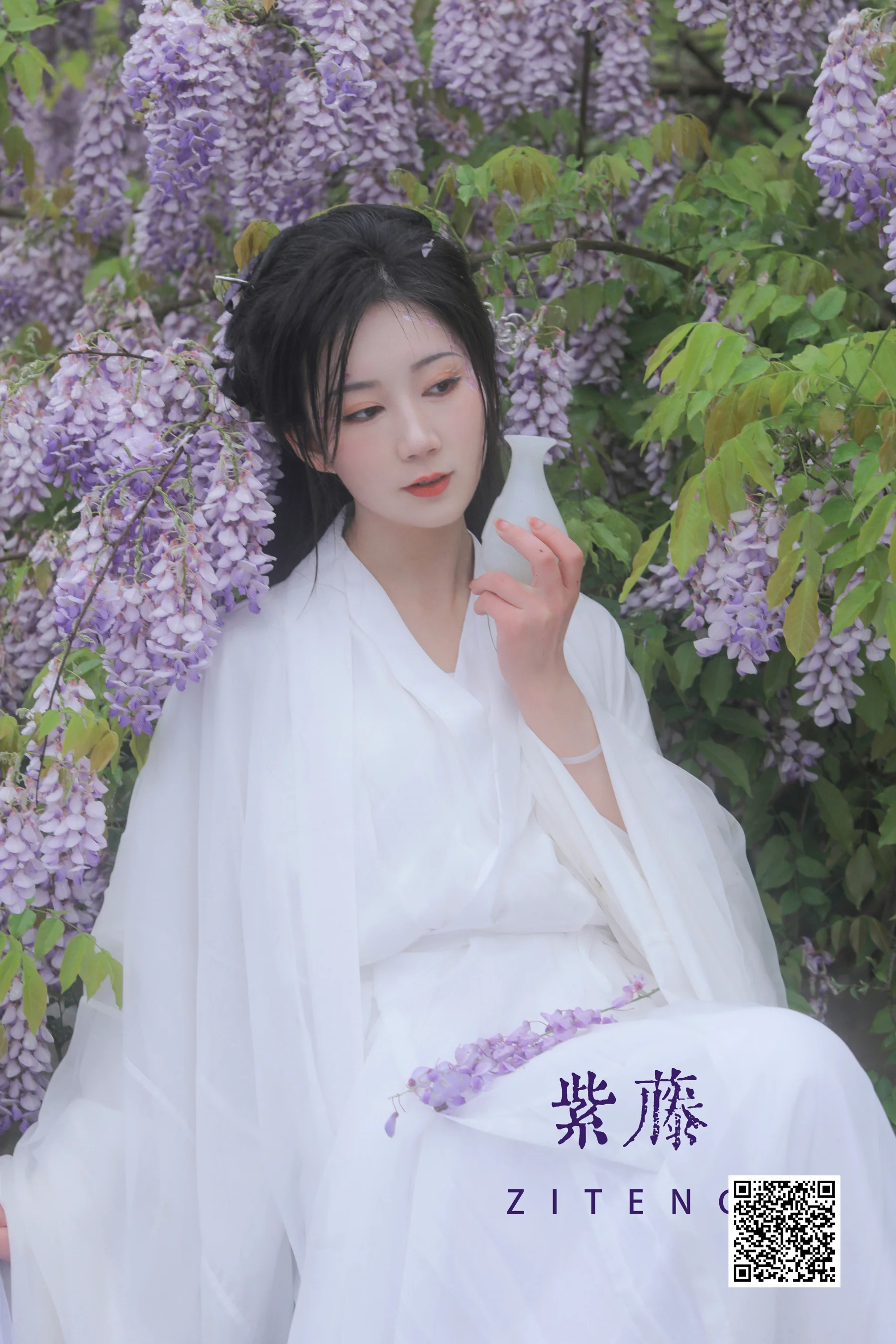 [艺图语] 2022.04.24 紫藤 文鱼 - 爱照片