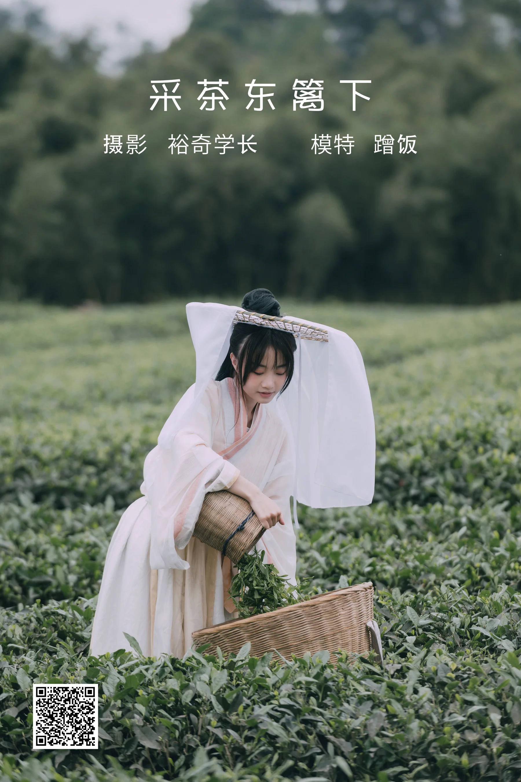 [艺图语] 2022.05.12 采茶东篱下 蹭饭 - 爱照片