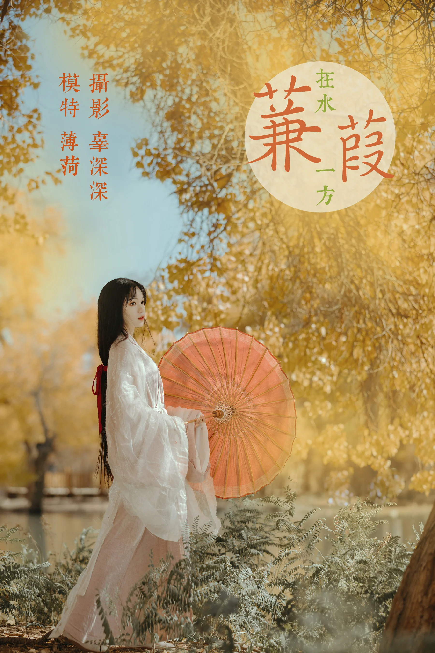 [艺图语] 2021.08.16 蒹葭 薄菏 - 爱照片