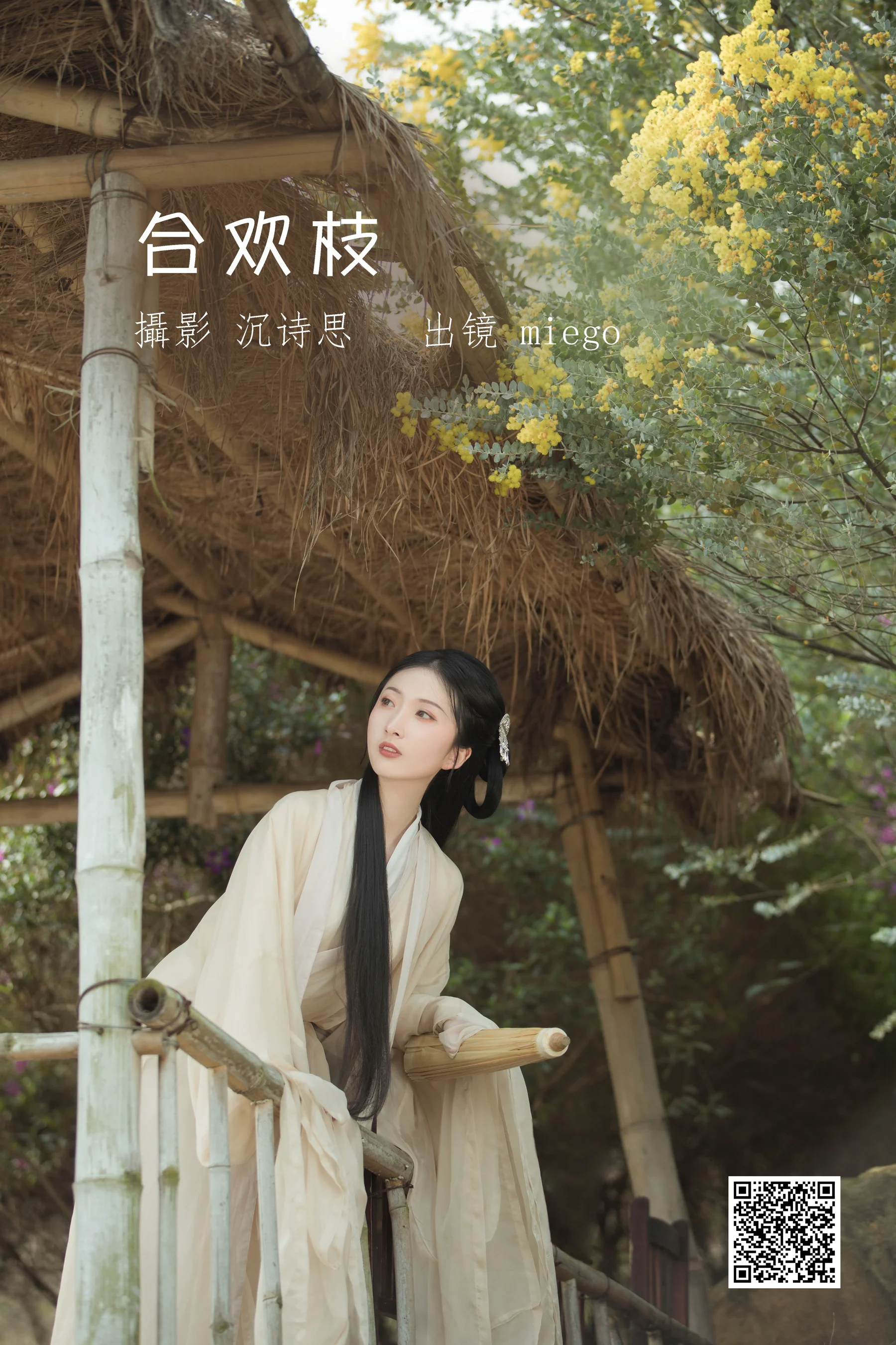 [艺图语] 2022.07.02 合欢枝 miego - 爱照片