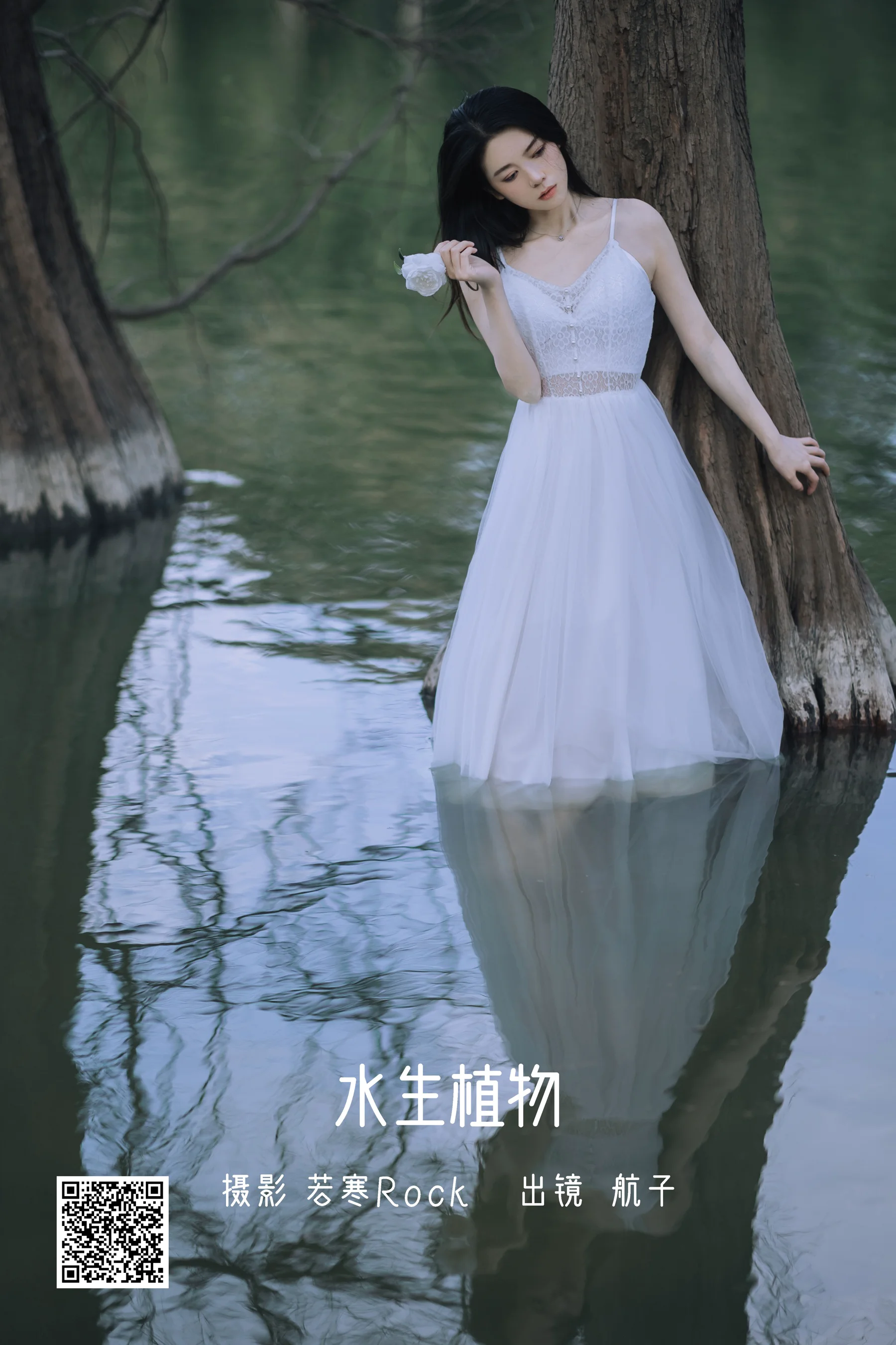 [艺图语] 2022.07.11 水生植物 航子就是航子呀 - 爱照片
