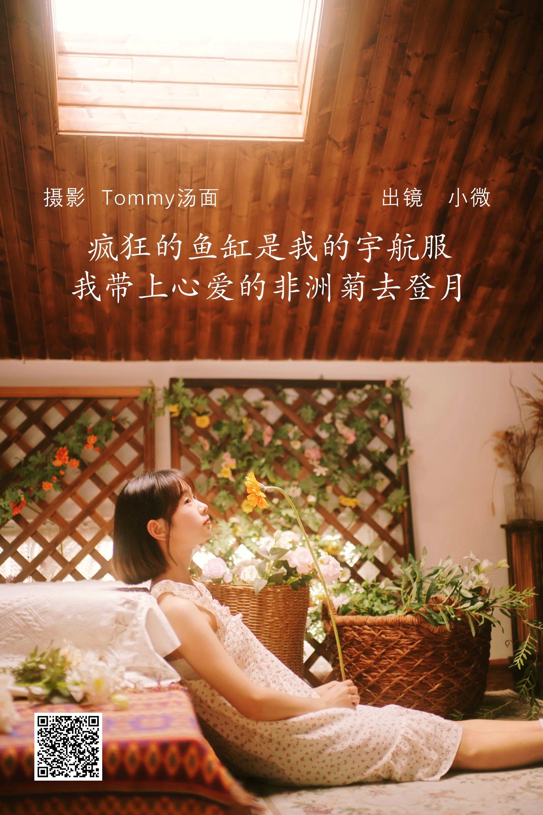 [艺图语] 2022.08.06 疯狂的鱼缸是我的宇航服，我带上心爱的非洲菊去登月 小微 - 爱照片