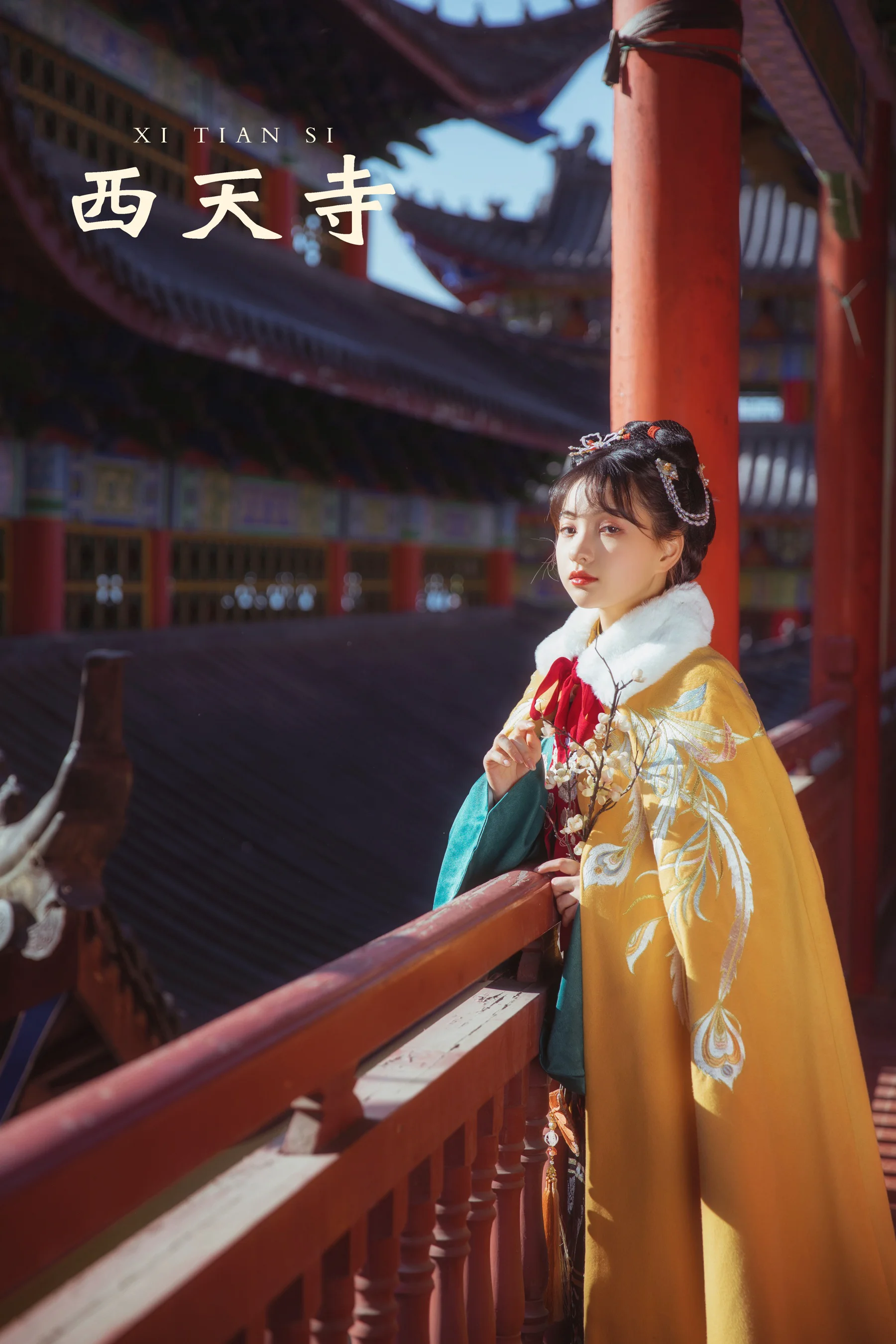 [艺图语] 2021.10.15 西天寺 一千只大日日 - 爱照片