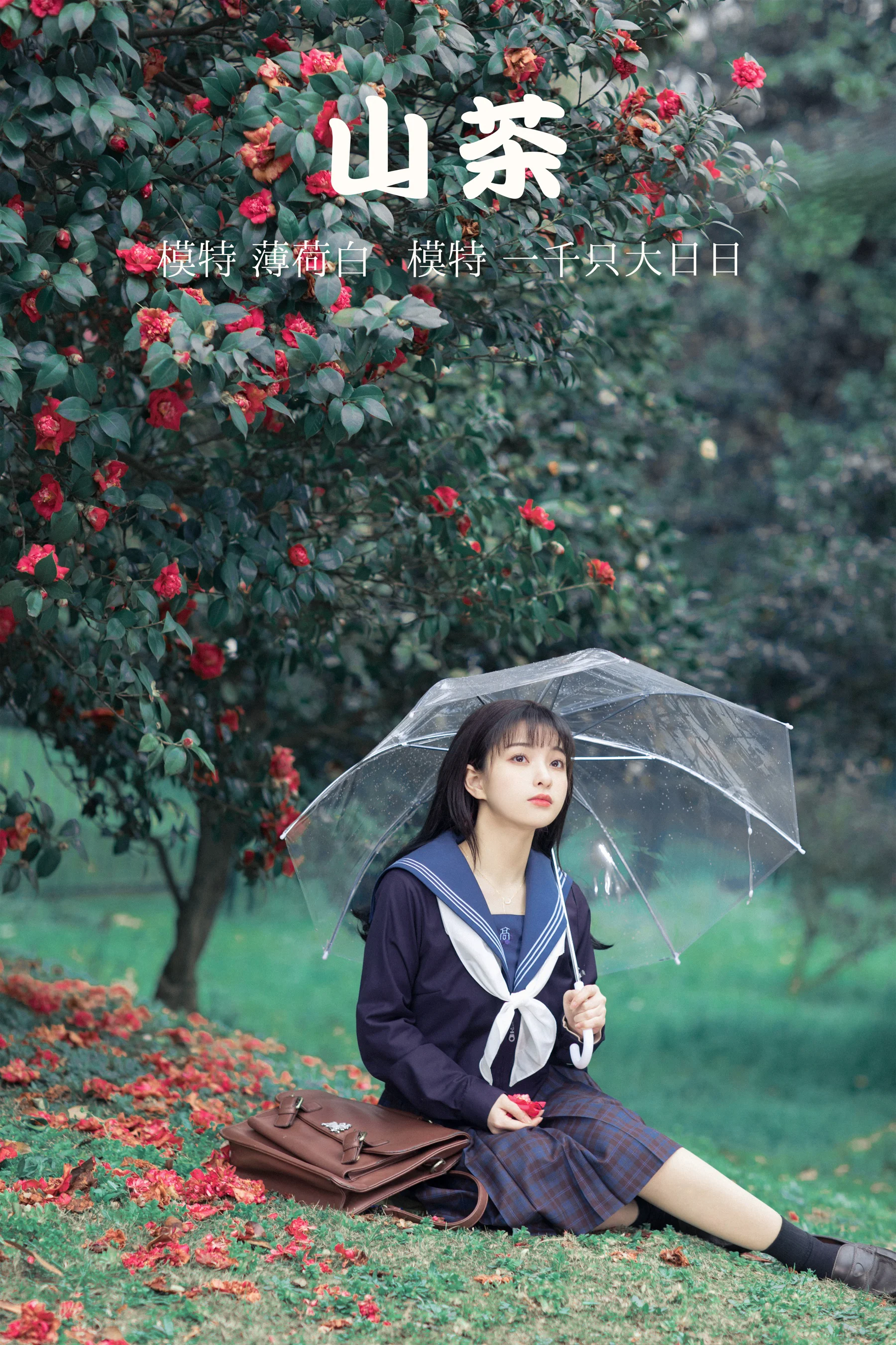 [艺图语] 2021.10.19 山茶 一千只大日日 - 爱照片
