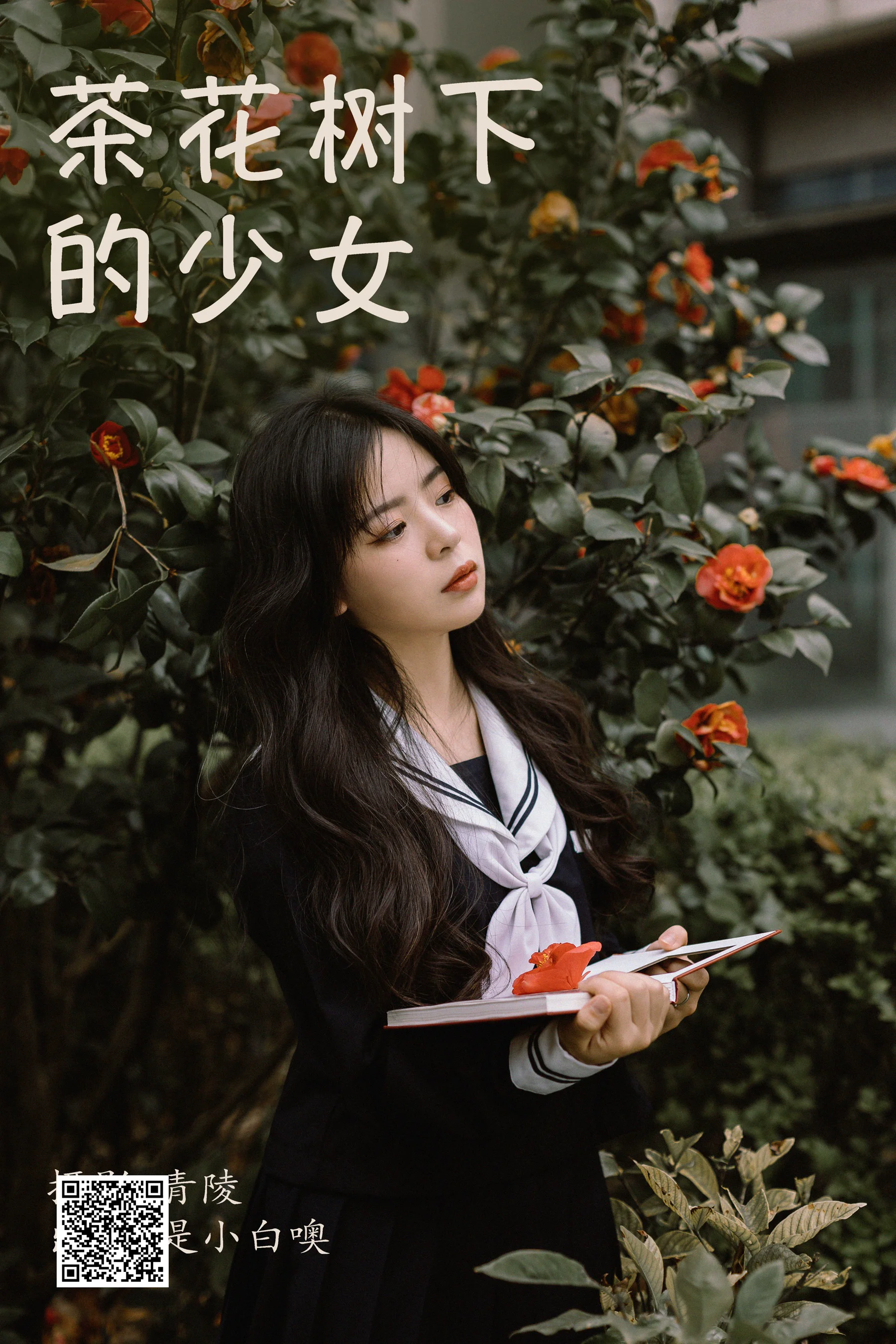 [艺图语] 2023.04.09 茶花树下的少女 是小白噢 - 爱照片