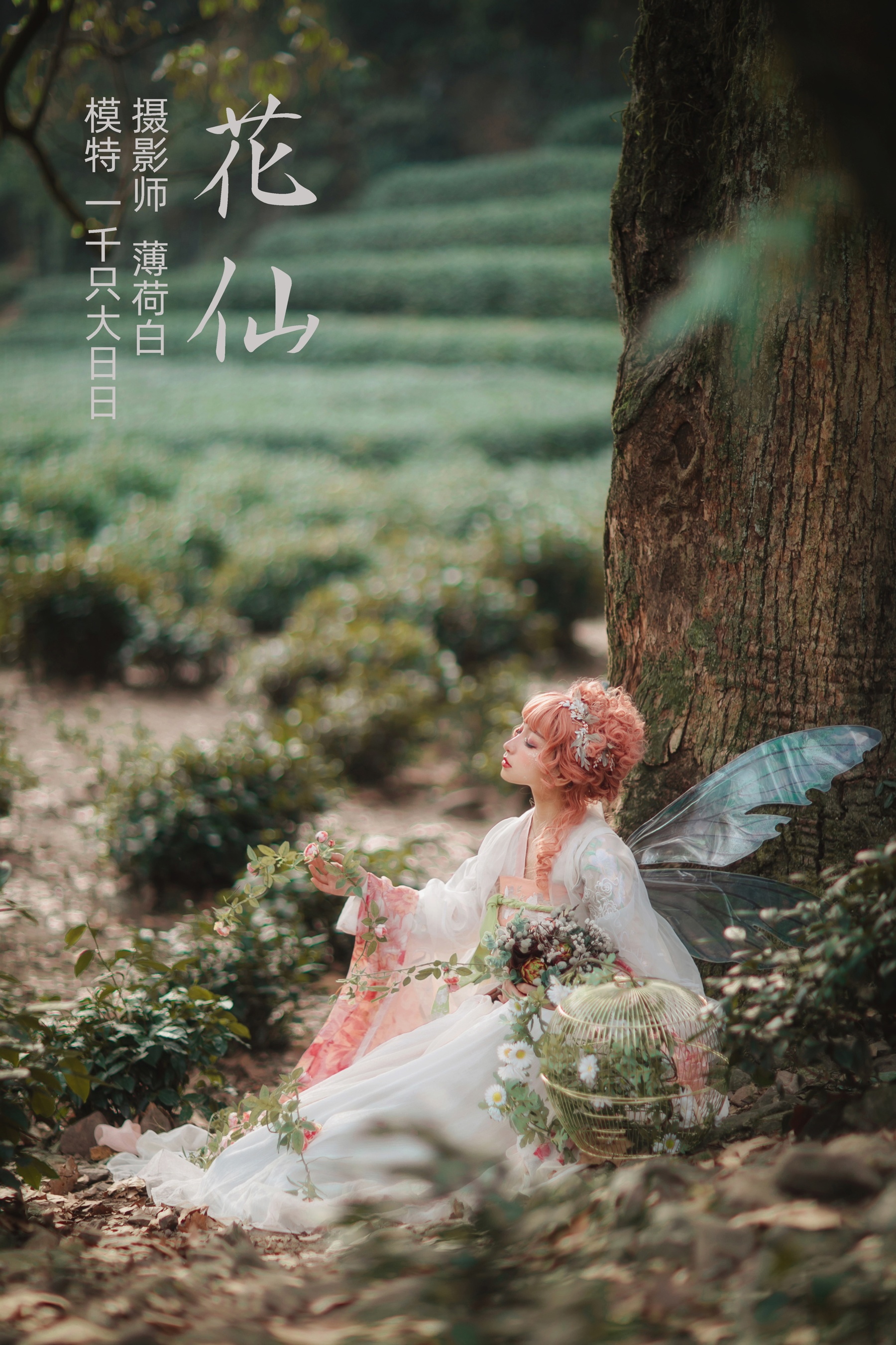 [艺图语] 2021.11.04 花仙 一千只大日日 - 爱照片