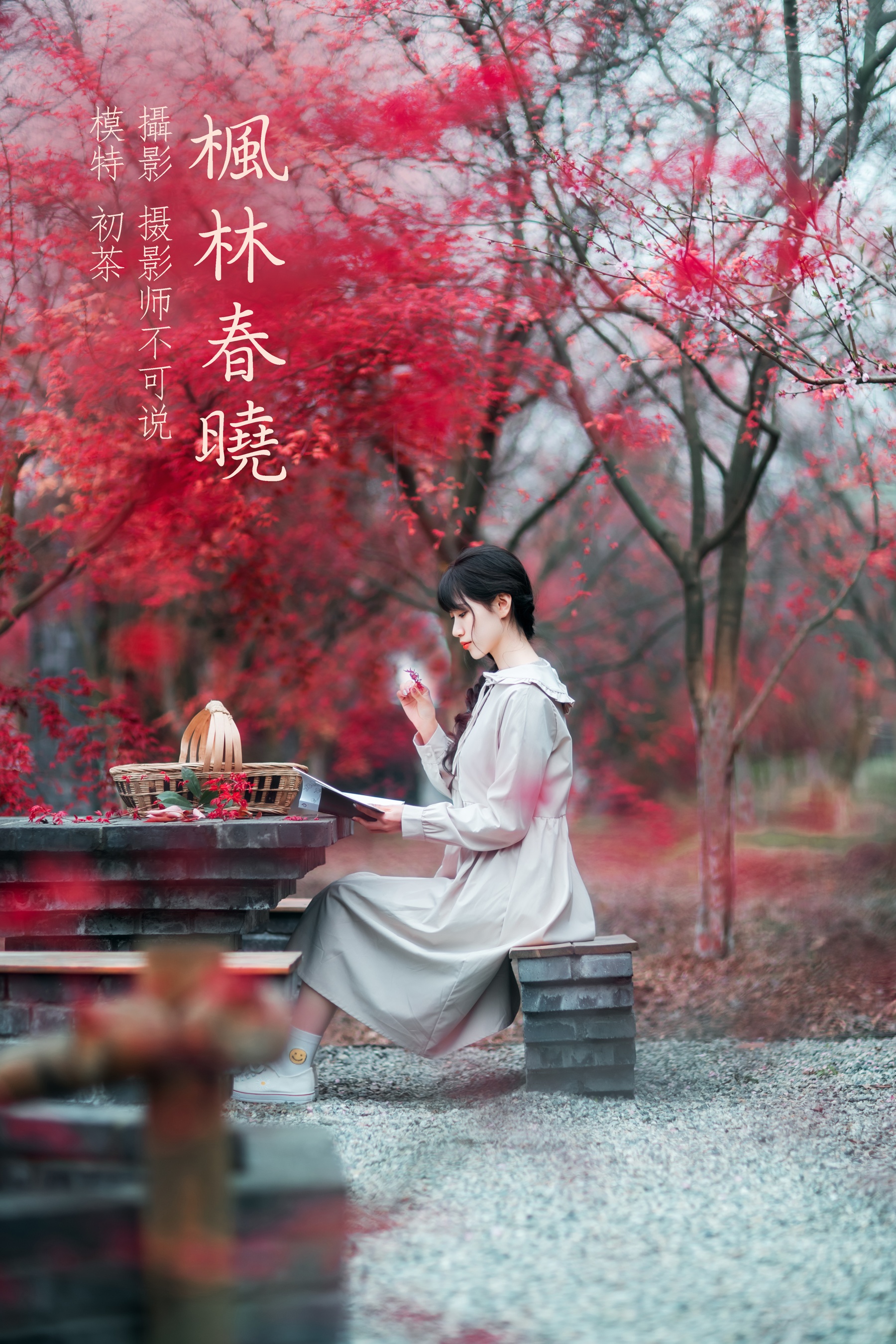 [艺图语] 2021.12.23 枫林春晓 初茶 - 爱照片