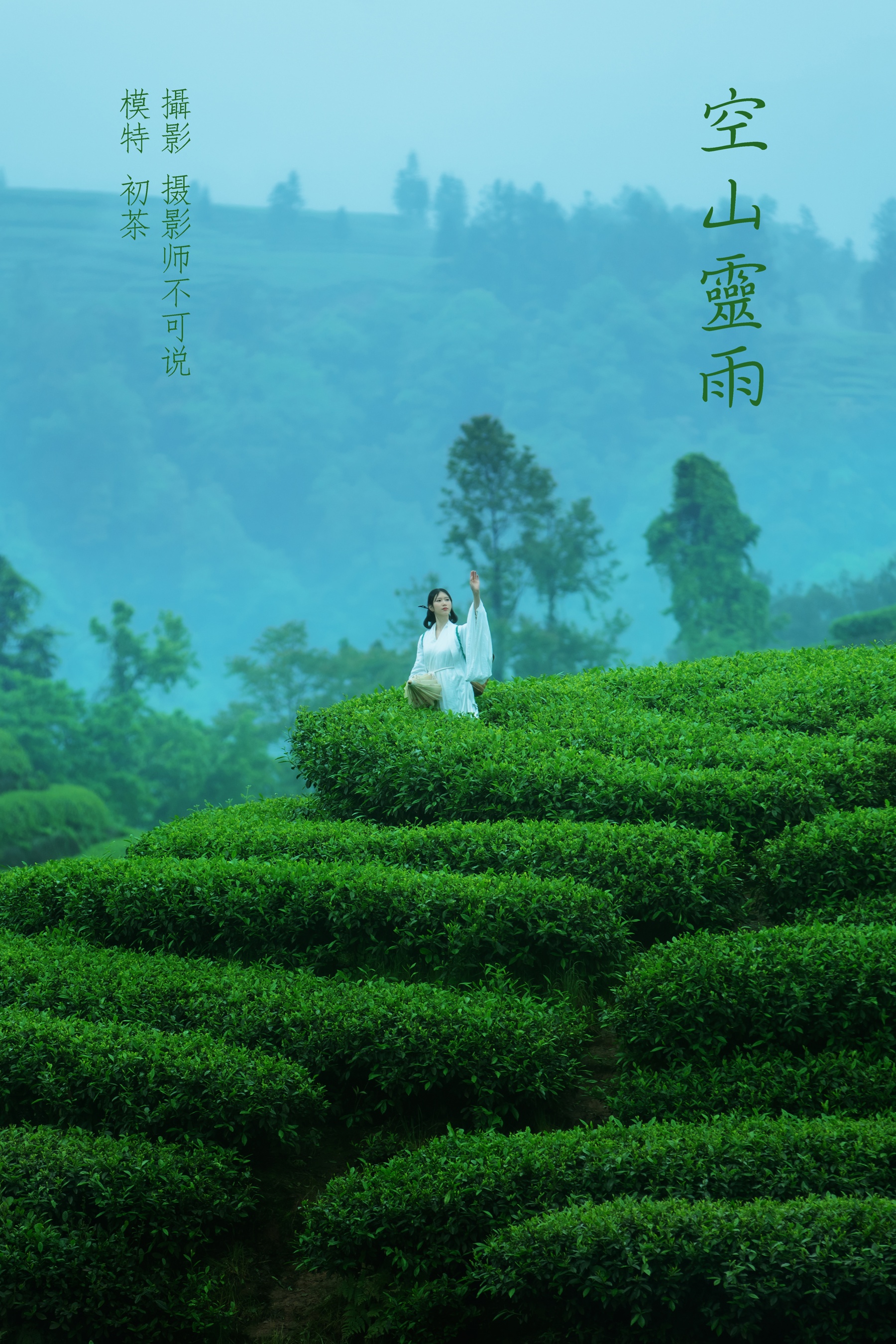 [艺图语] 2021.12.24 空山灵雨 初茶 - 爱照片