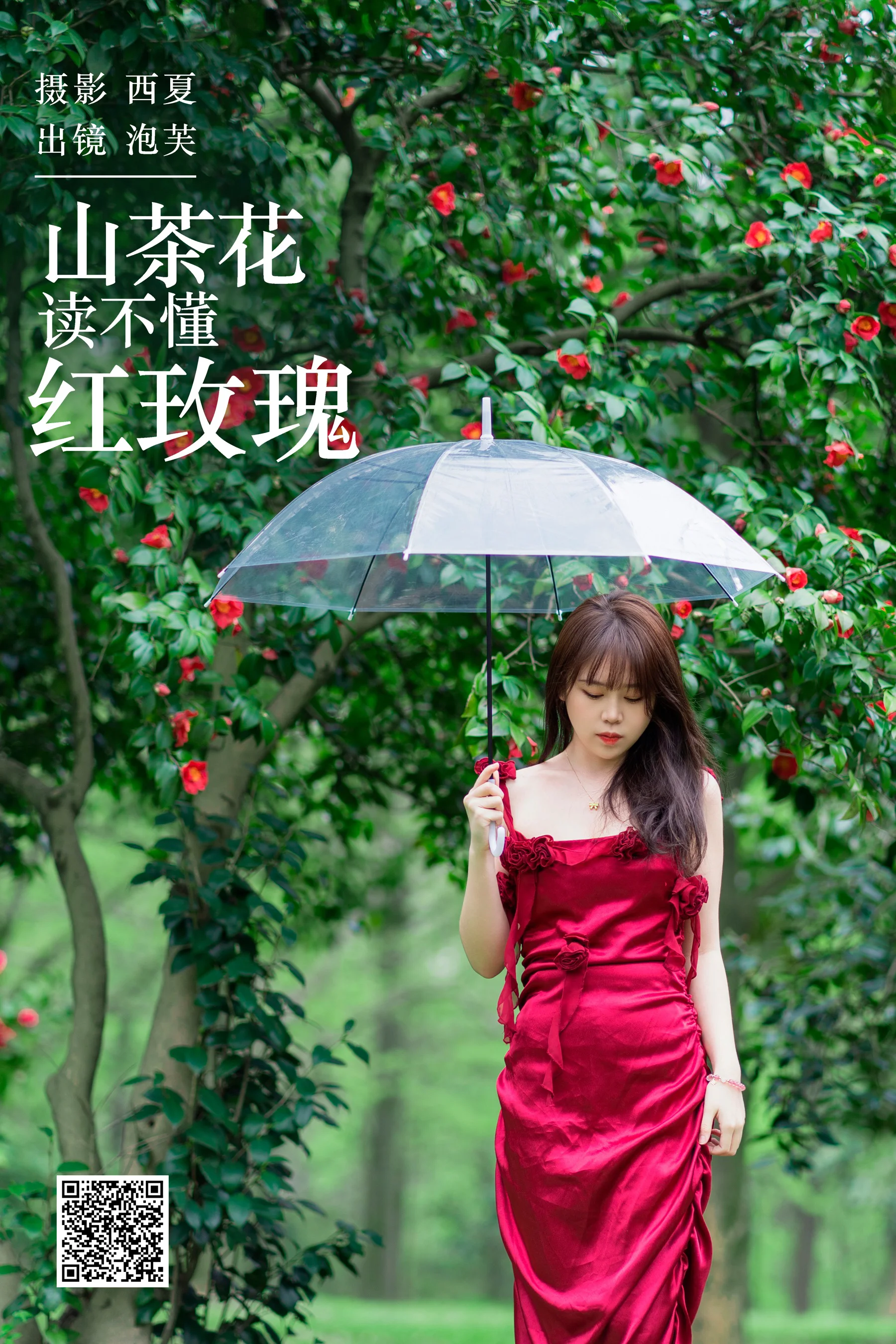 [艺图语] 2023.12.24 山茶花读不懂红玫瑰 泡芙小方 - 爱照片