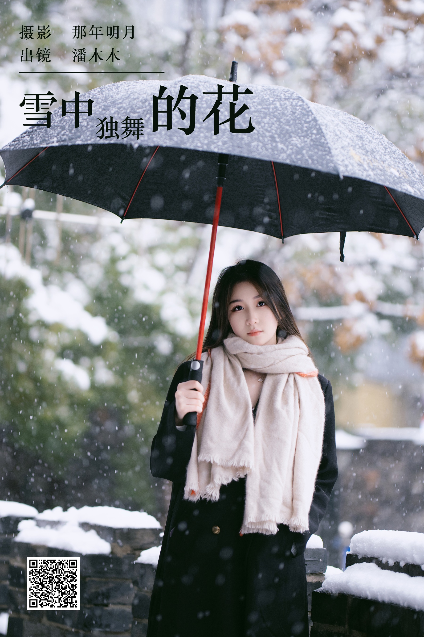 [艺图语] 2024.01.20 雪中独舞的花 潘木木 - 爱照片