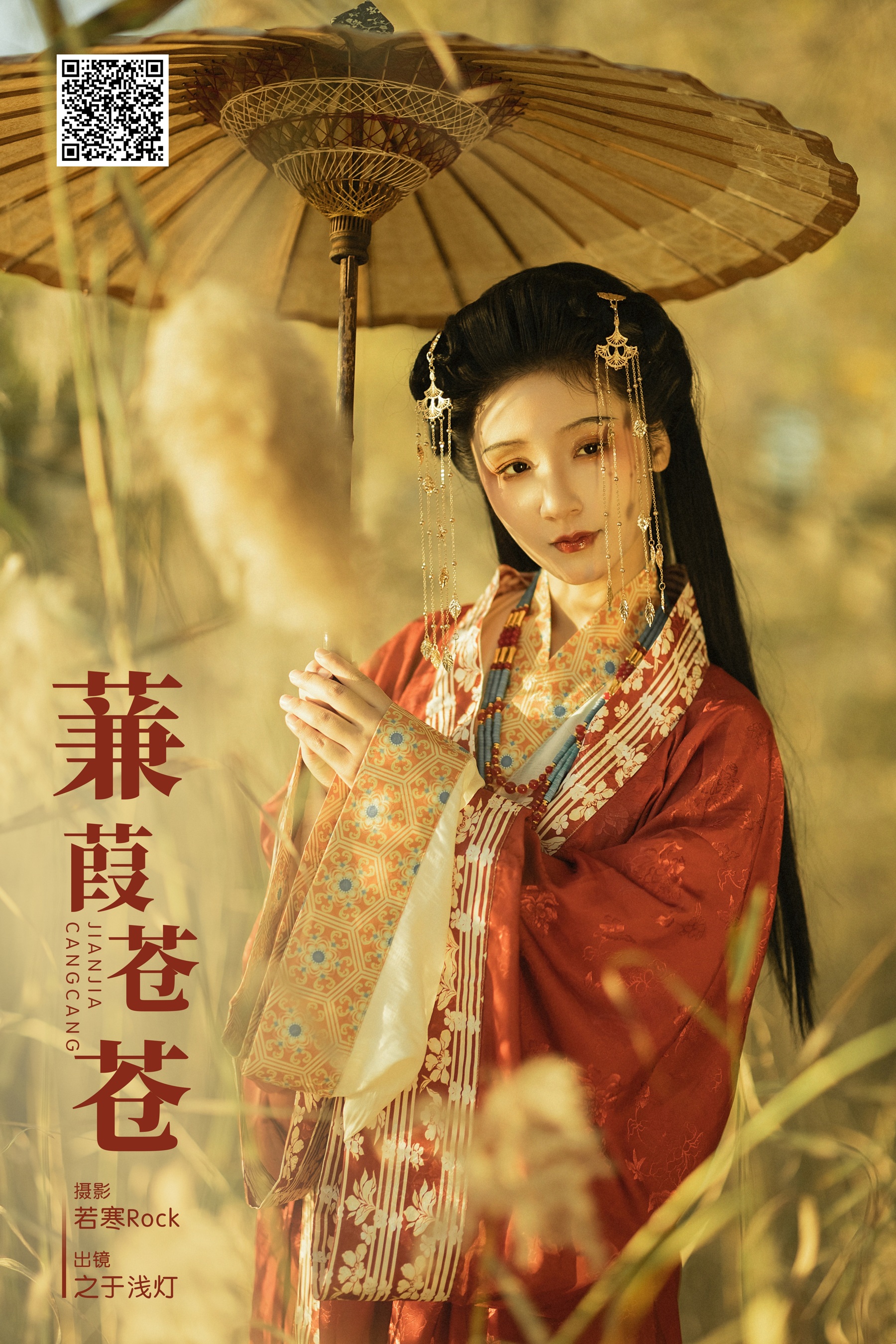 [艺图语] 2024.02.05 蒹葭苍苍 之于浅灯 - 爱照片