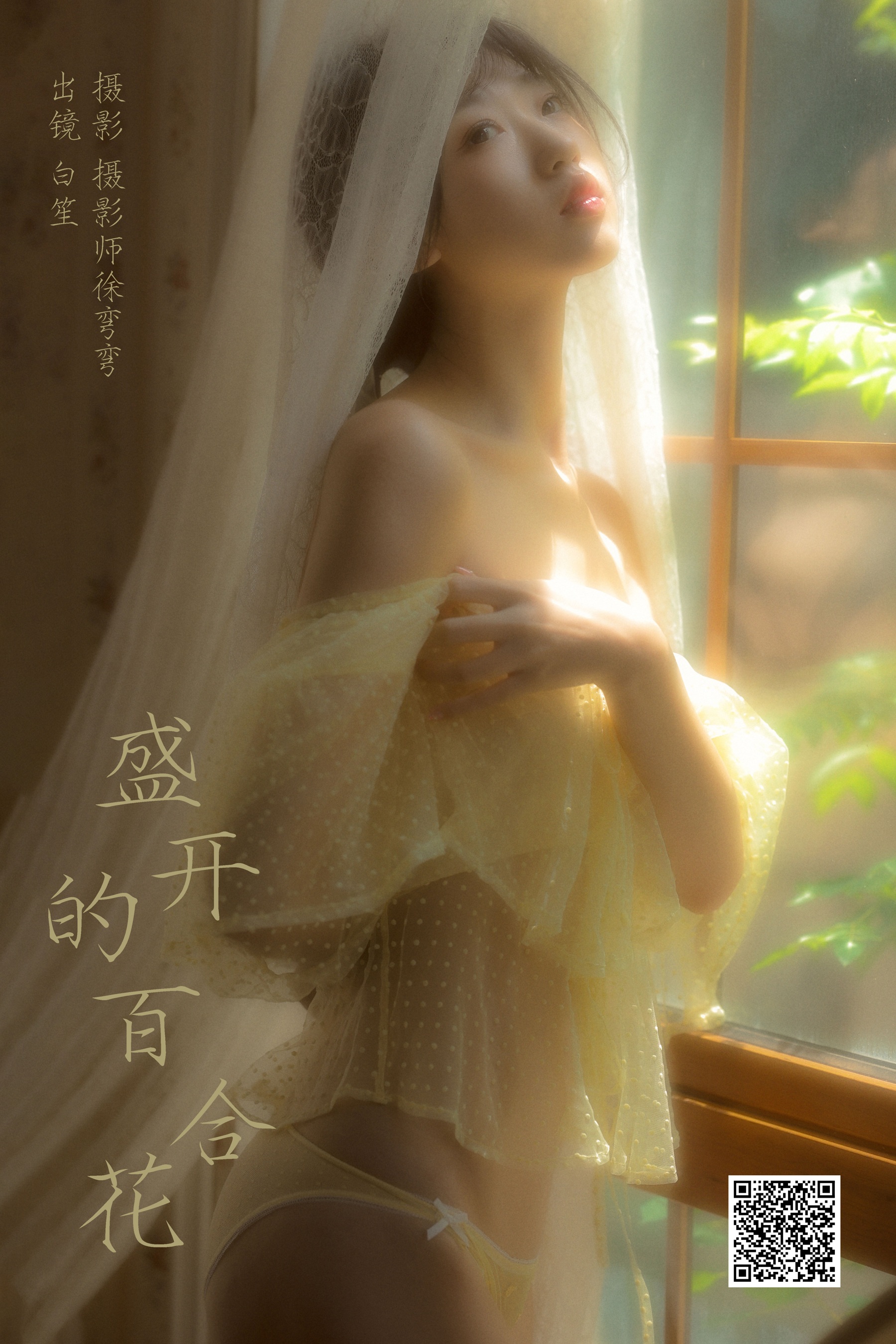 [艺图语] 2024.04.08 盛开的百合花 白笙 - 爱照片
