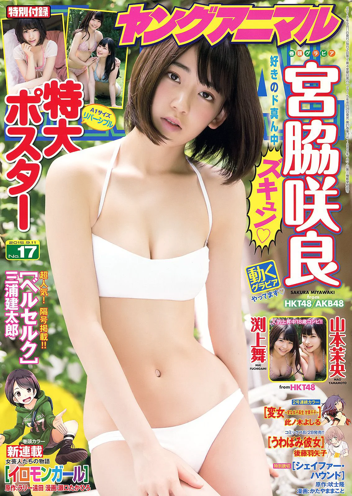 宮脇咲良 山本茉央 渕上舞 [Young Animal] 2015年No.17 写真杂志 - 爱照片