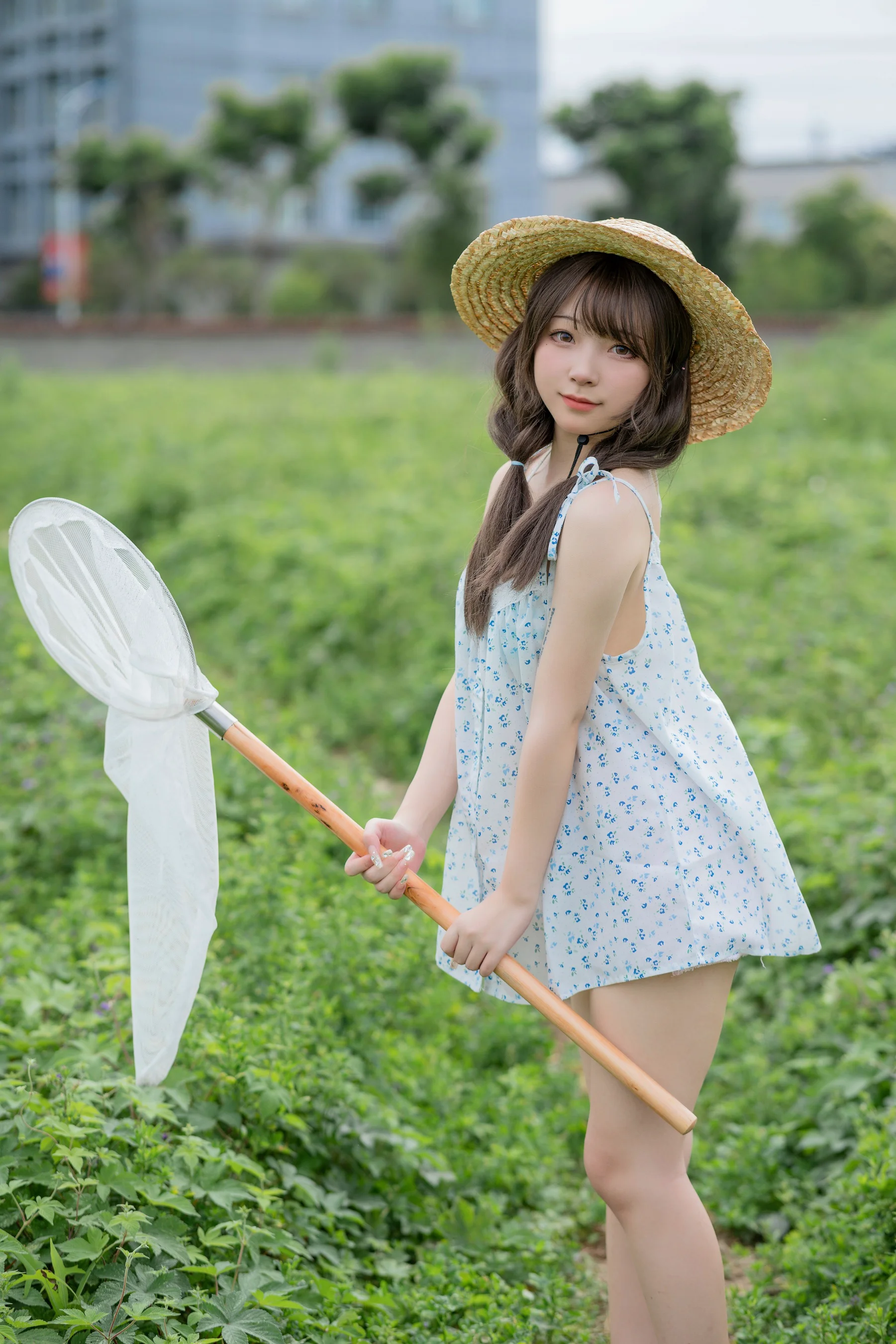 花铃 – 田野 - 爱照片