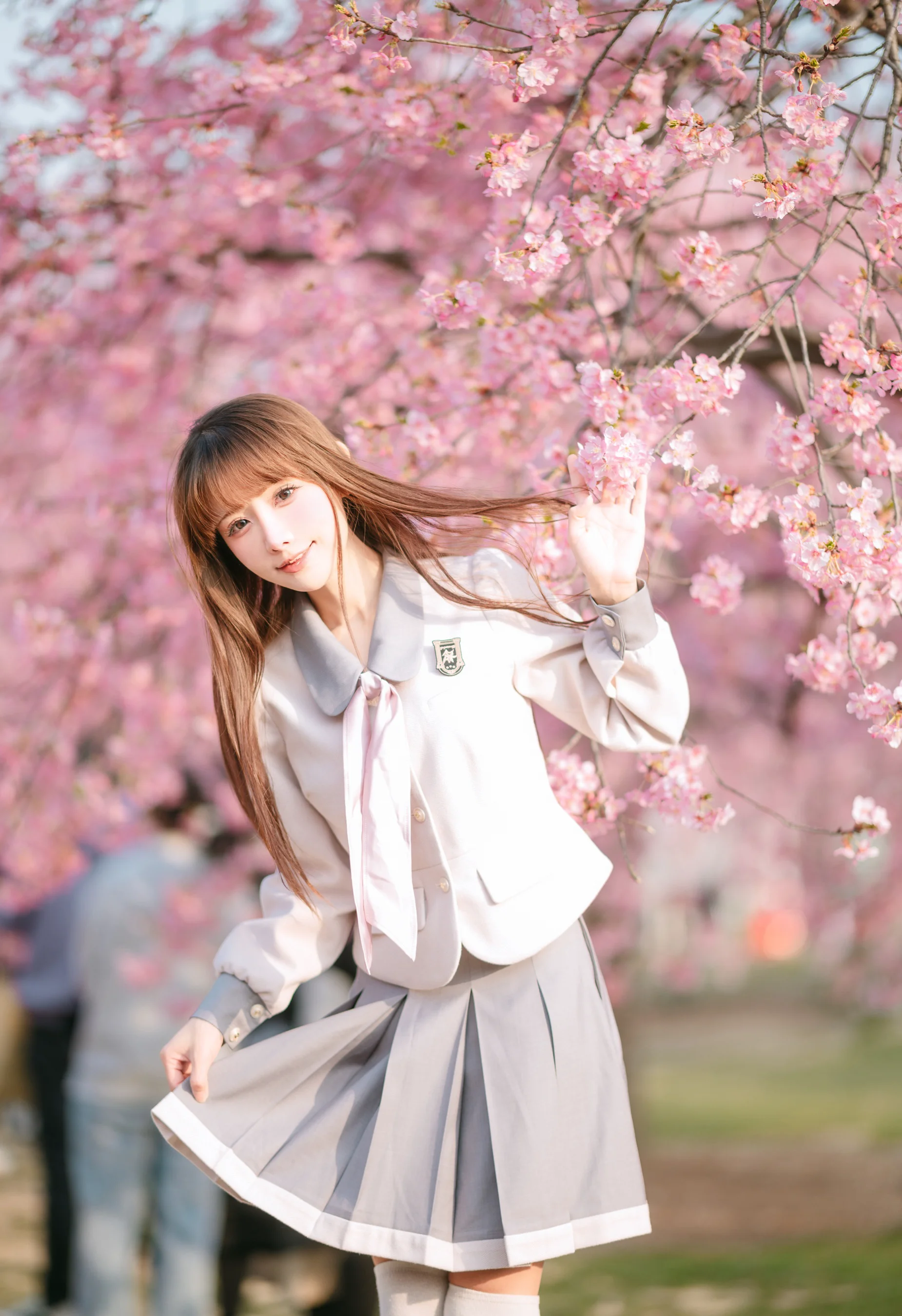 紫氯氯 – 樱花下的JK少女 - 爱照片