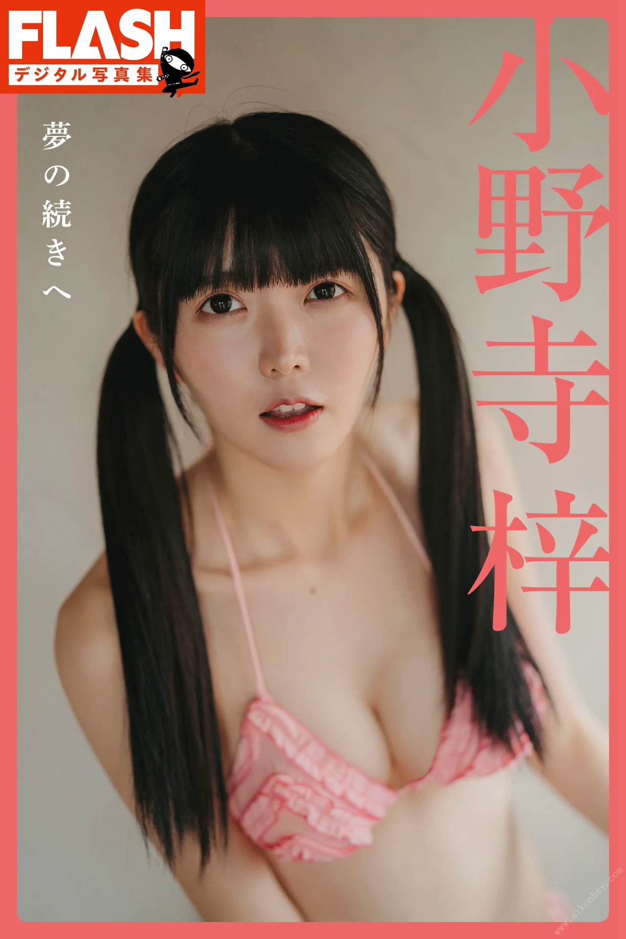 FLASHデジタル写真集 小野寺梓 夢の続きへ - 爱照片