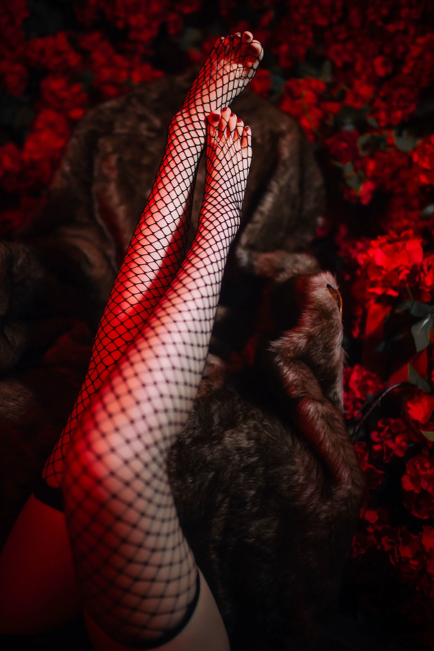 [网红COSER] 高颜值coser念念_D – 半人马旗袍 写真集 - 爱照片