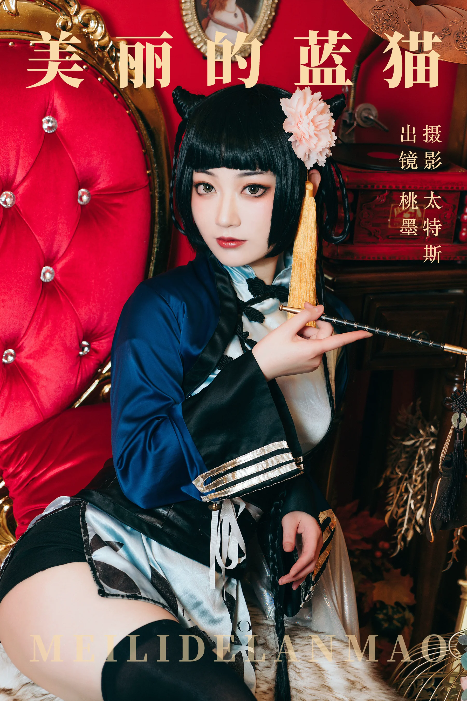 桃墨公子 – 美丽的蓝猫 - 爱照片