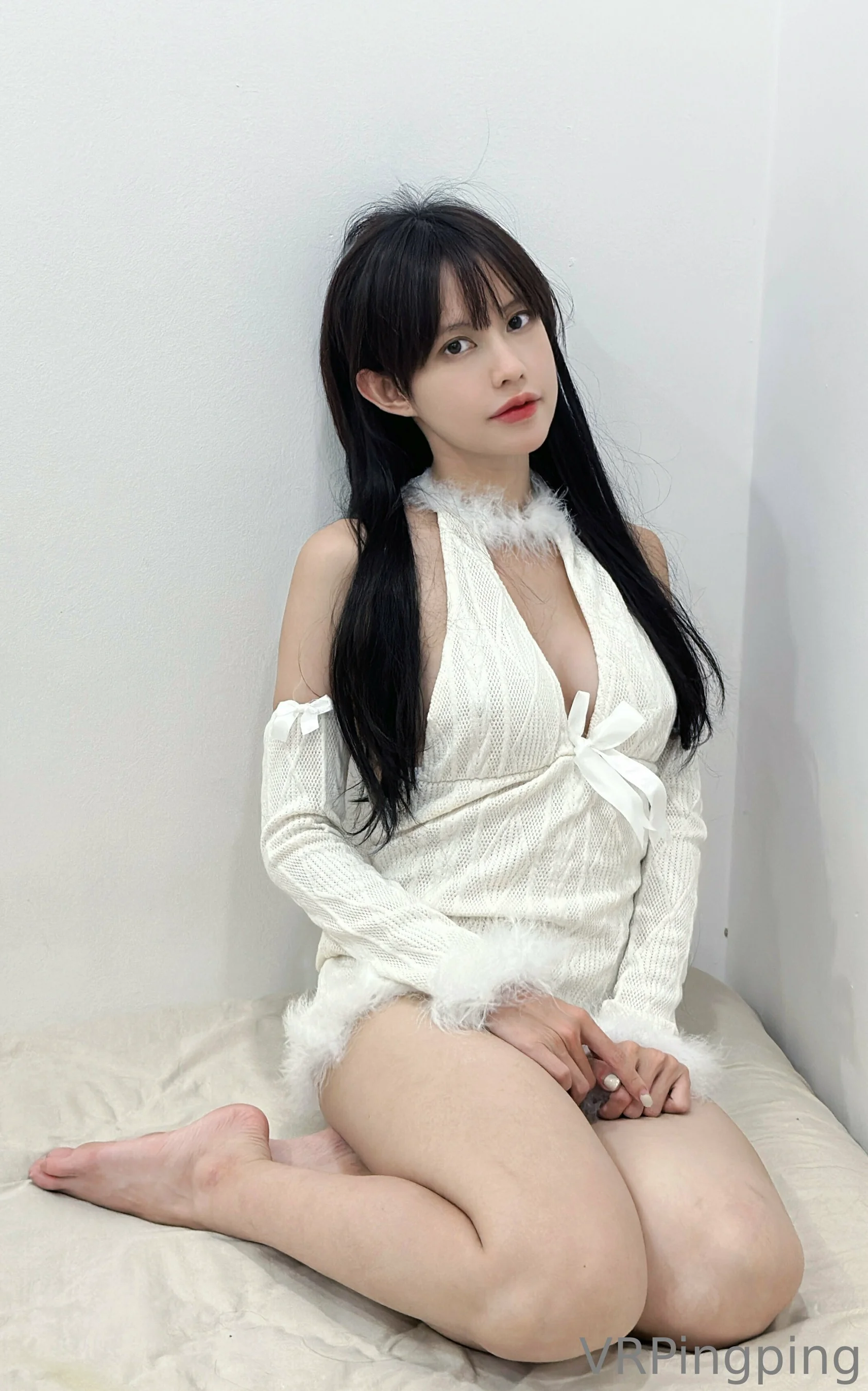 PingPing – Fluffy White - 爱照片