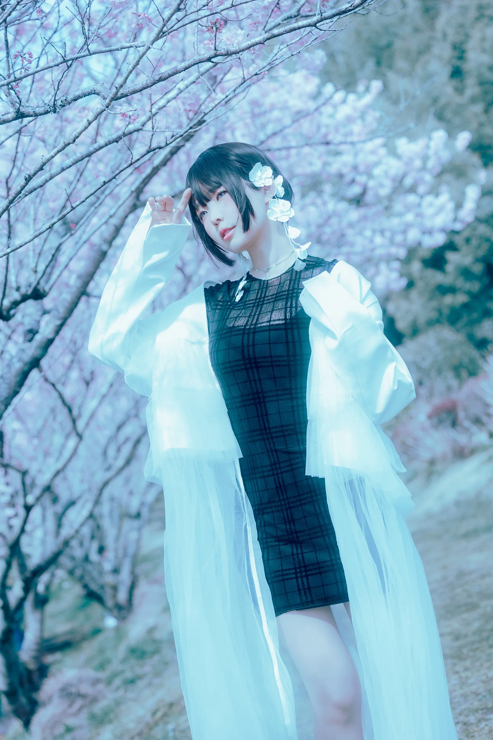 ElyEE子 – 17°C Pink Sakura17°C粉櫻 - 爱照片