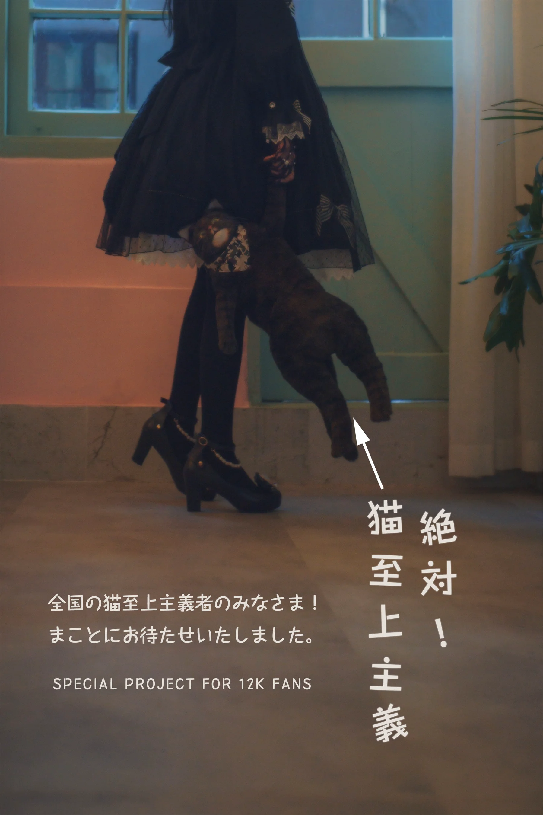 木花琳琳是勇者 – 绝对！猫至上主义 - 爱照片