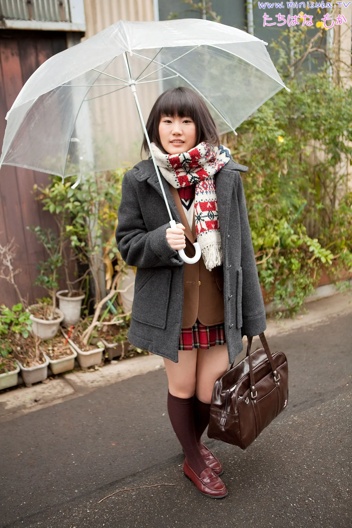 橘もか Moka Tachibana [Minisuka.tv] Regular Gallery 写真集 - 爱照片