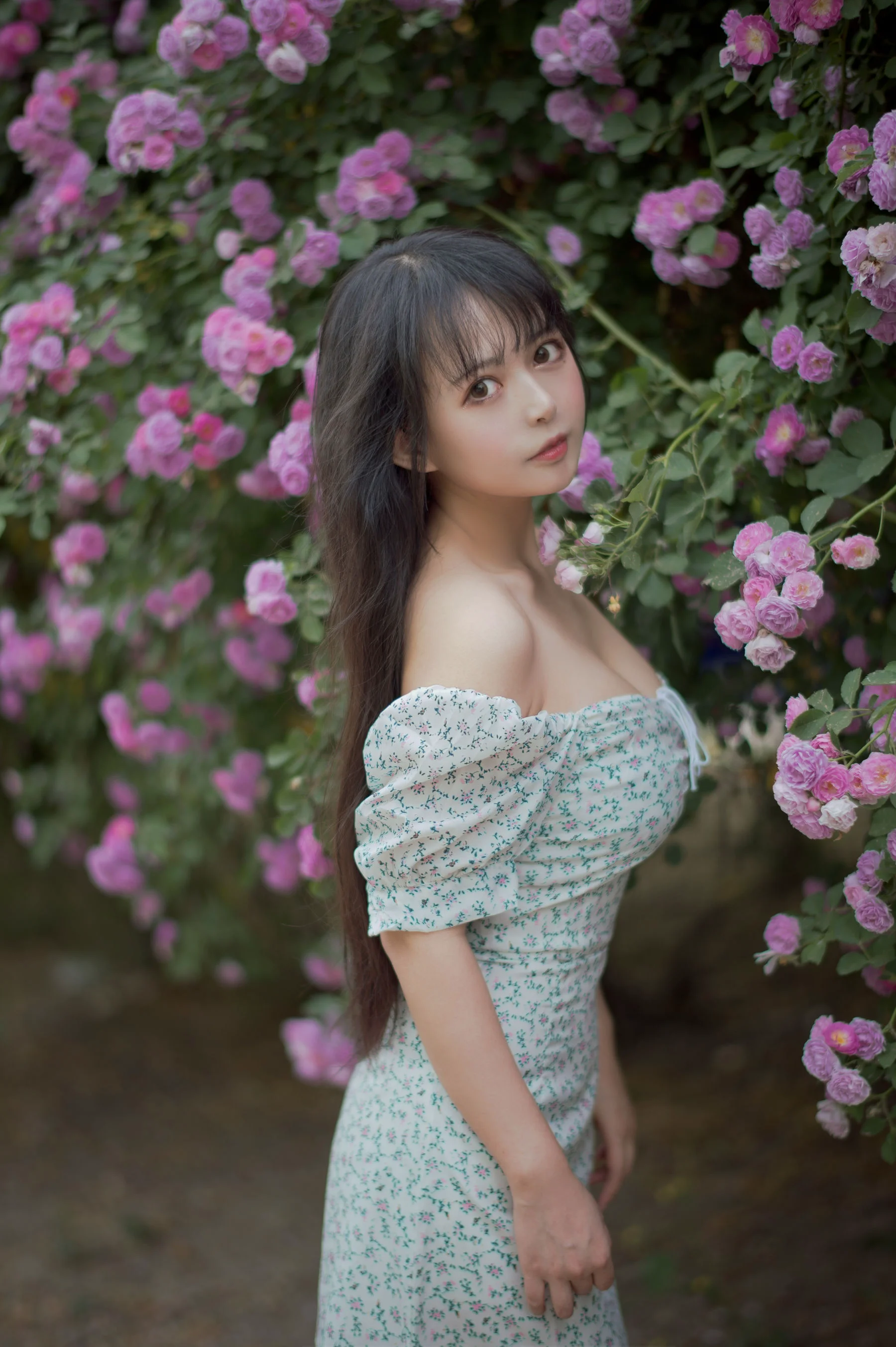 [COS福利] 大眼萌妹黑猫猫OvO 《蔷薇2》 写真集 - 爱照片