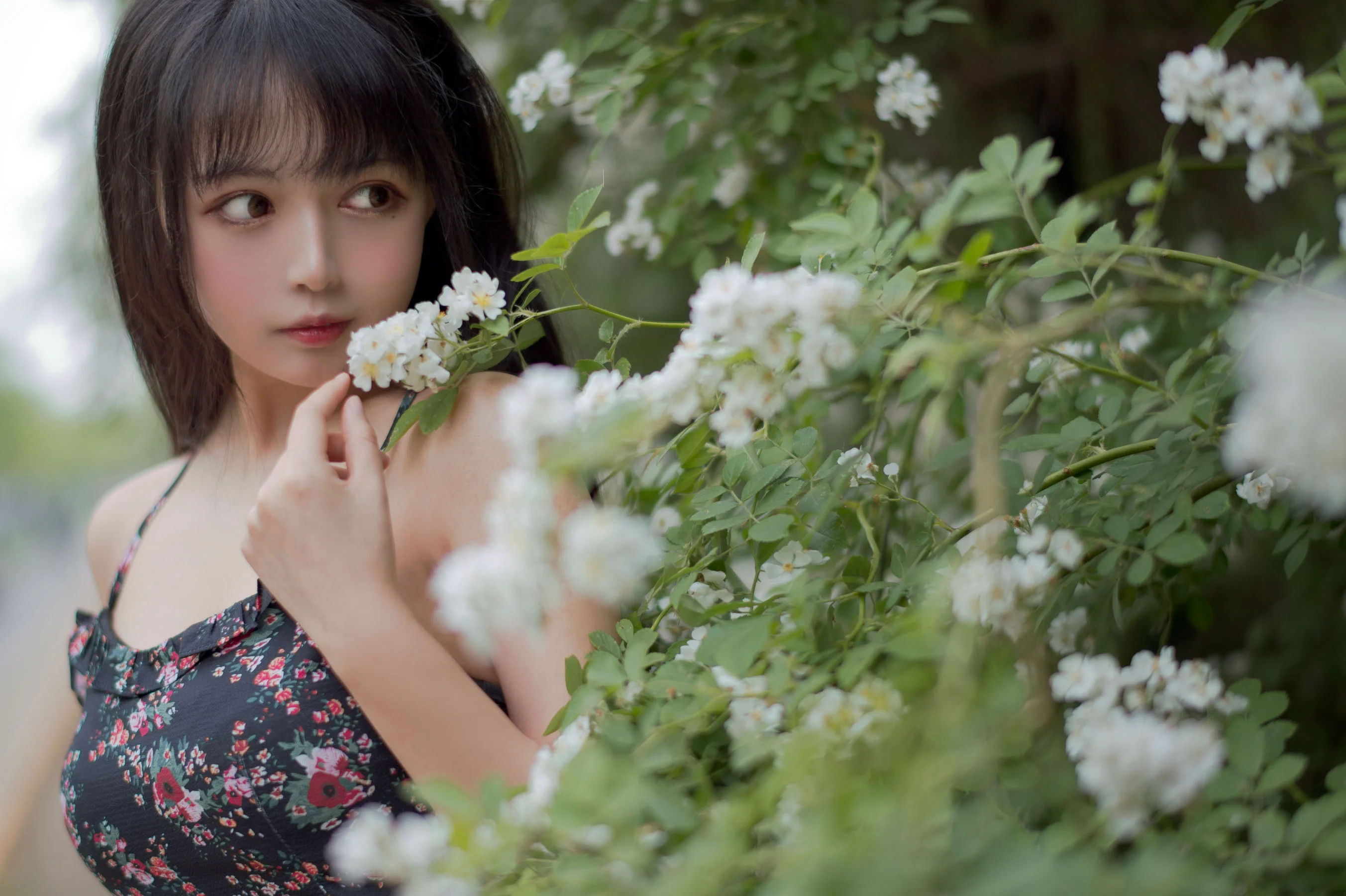 大眼萌妹黑猫猫OvO 《蔷薇1》 写真集 - 爱照片